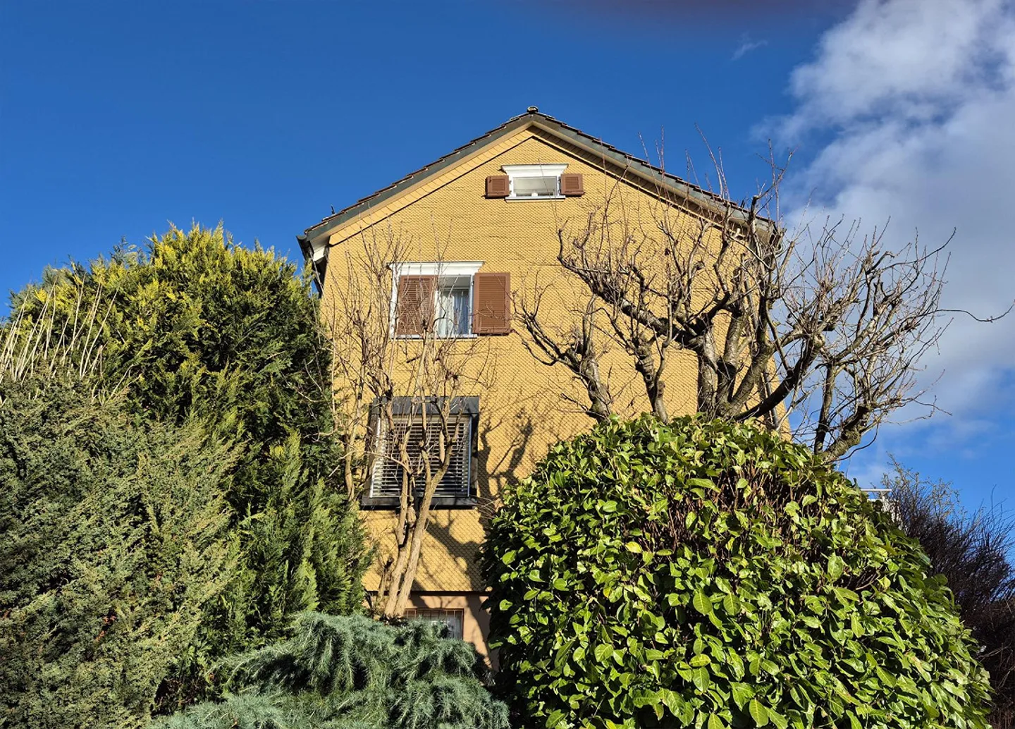 6.5-Room Single-Family House with Mountain View in Gossau SG for Sale - Photo 5 of 6