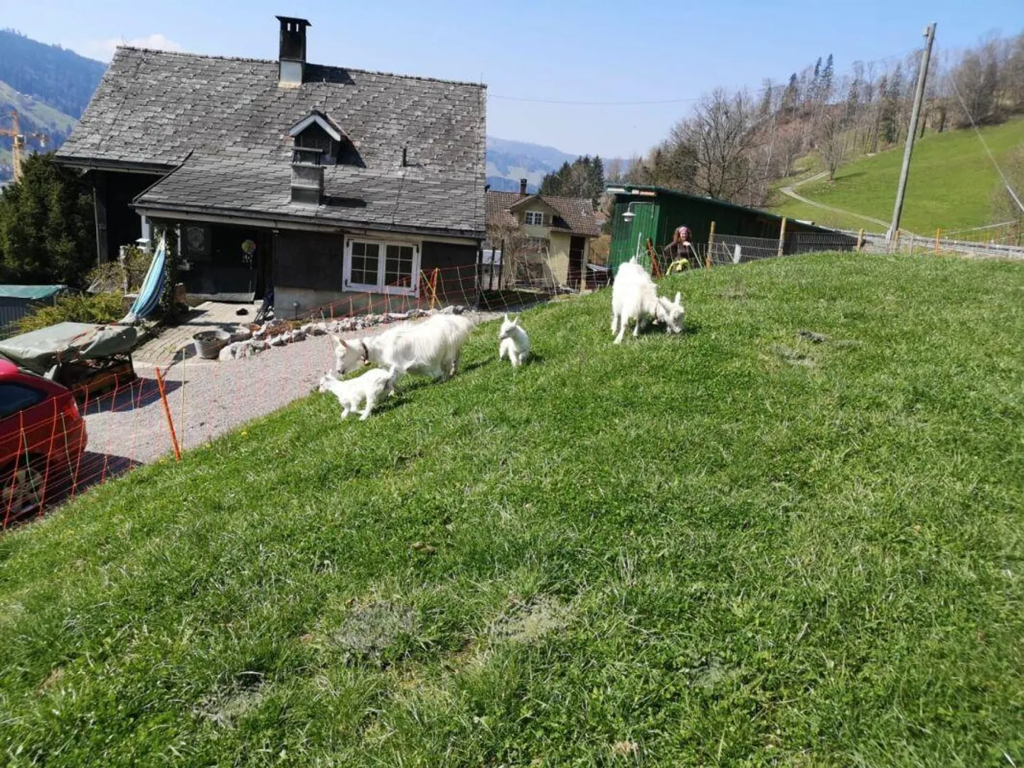 Maison Toggenburg de 4 pièces à rénover avec salle polyvalente et deux parcelles de prairie séparées - Photo 3 sur 13