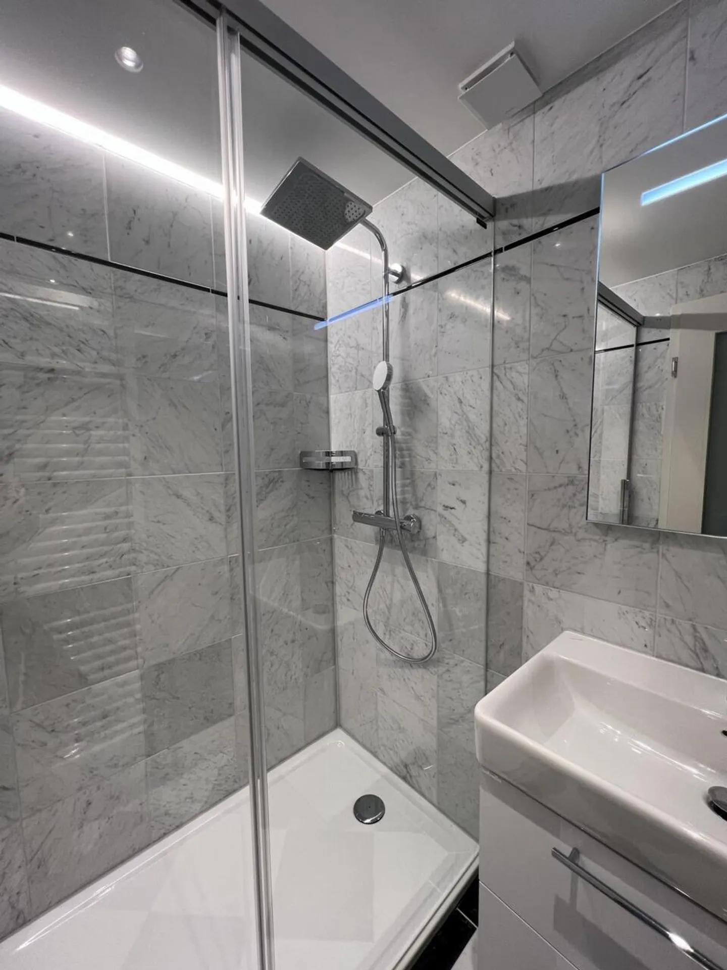 Spacious 3-room apartment renovated with terrace - Photo 8 of 13