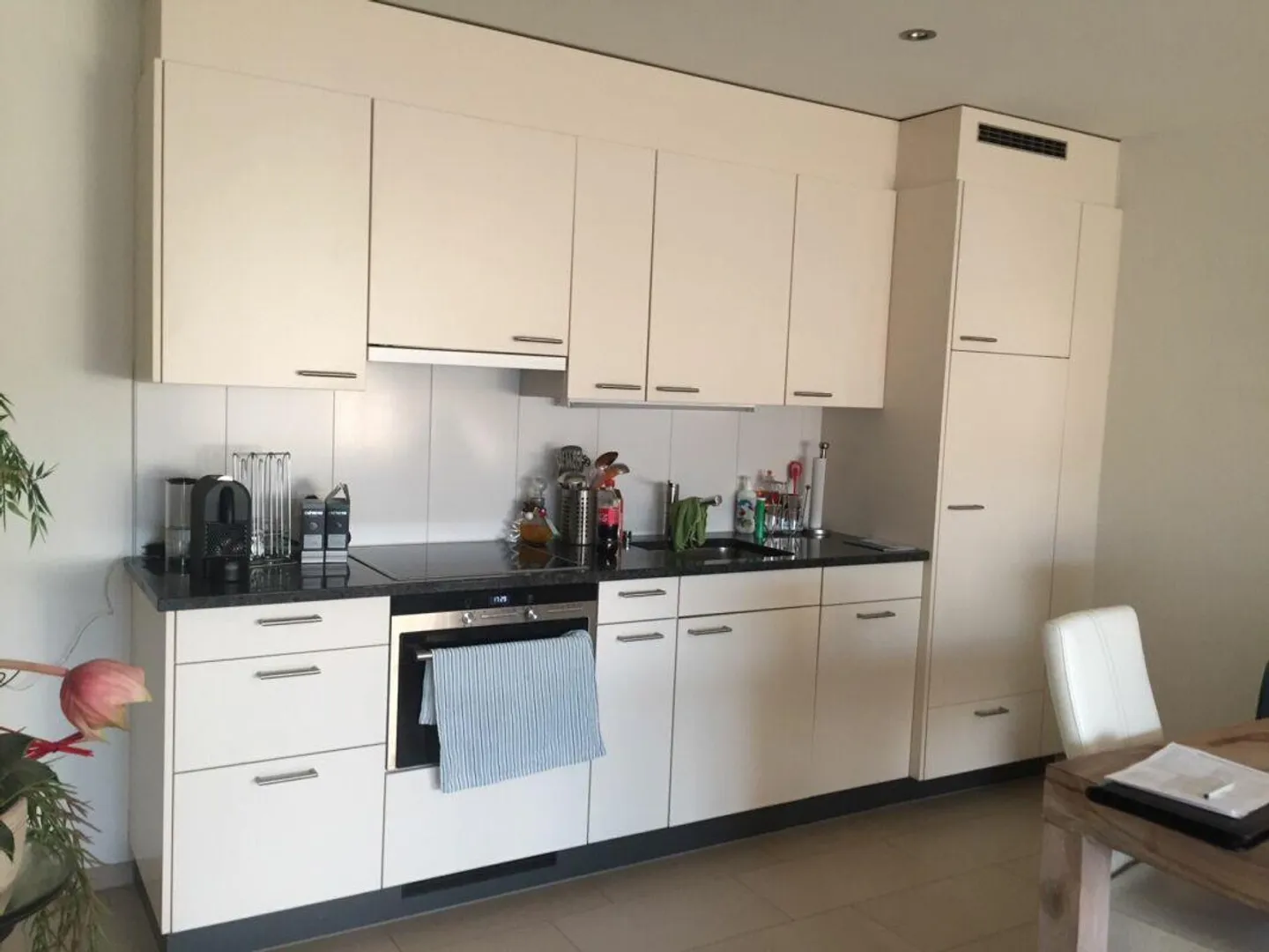 Vivere centrale e moderno a Liestal - Foto 2 di 5