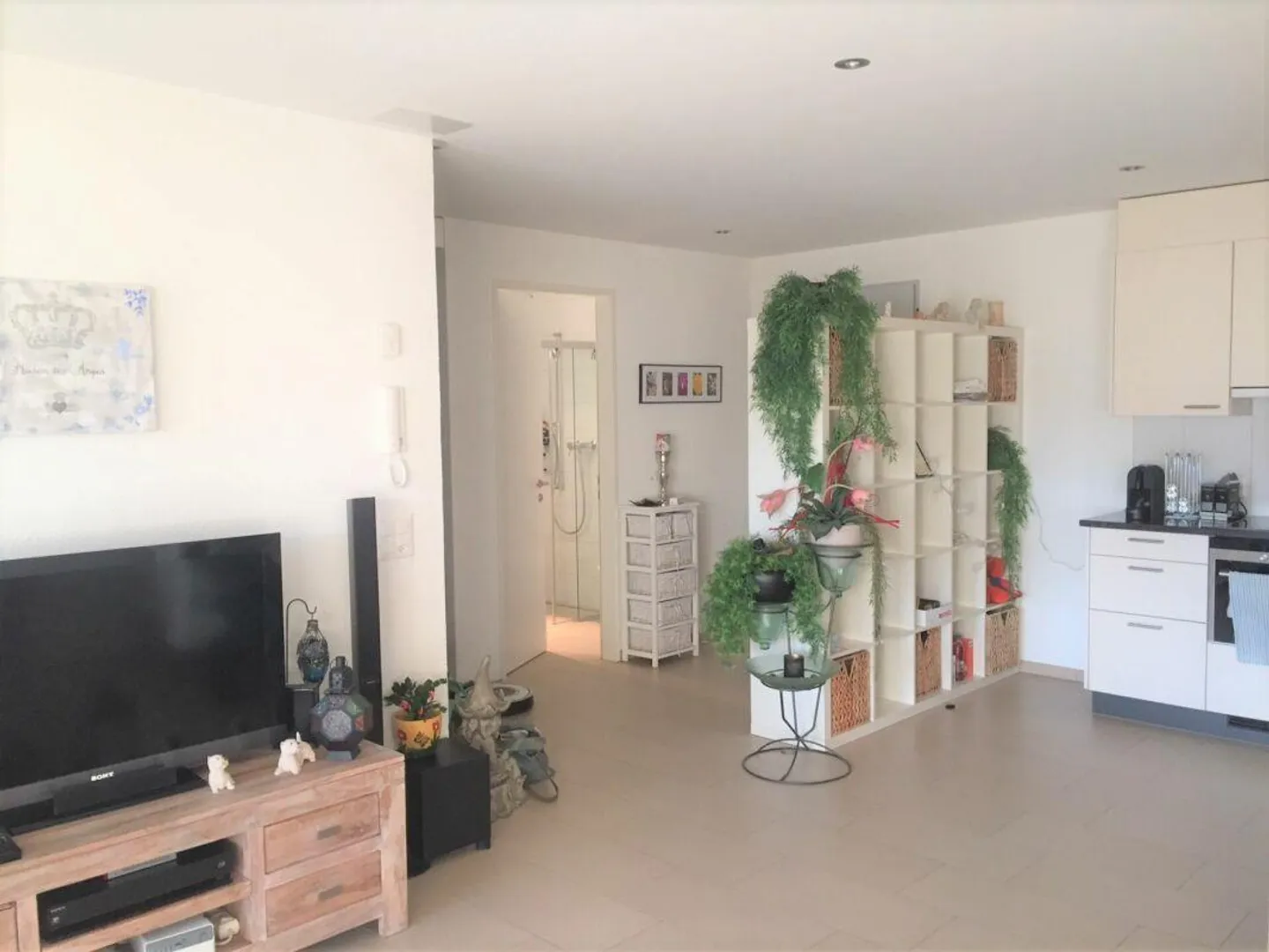 Vivere centrale e moderno a Liestal - Foto 3 di 5