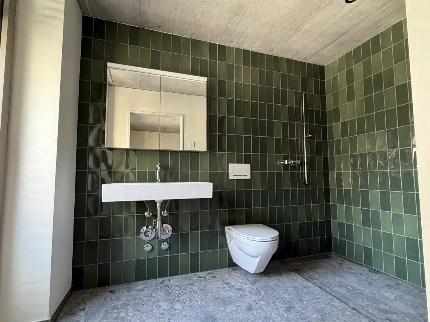 First occupancy - 4.5 room apartment - Bawangs development - Photo 11 of 12