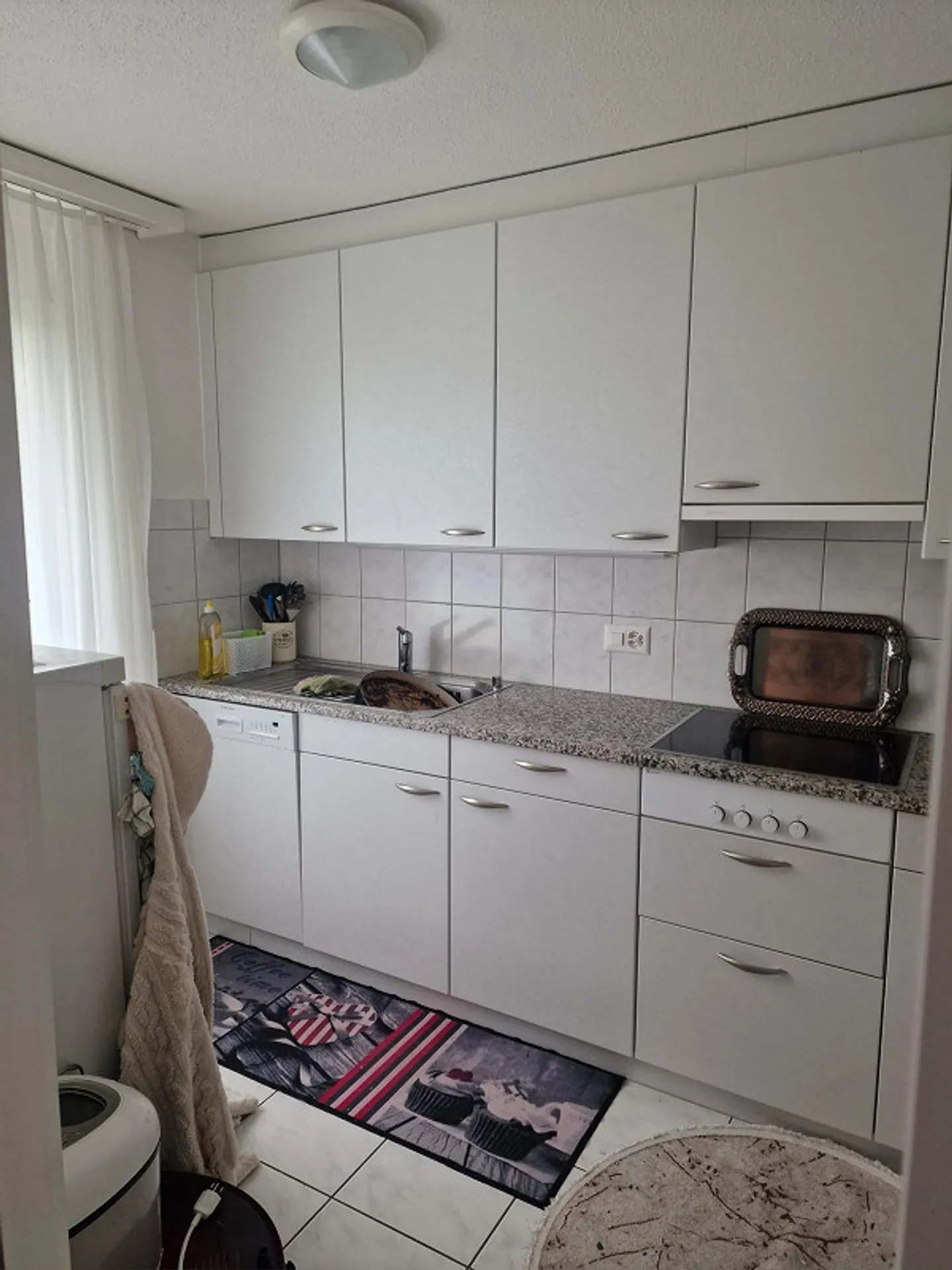 Appartamento 3.5 locali, situato in posizione centrale, piano terra con giardino - Foto 3 di 9
