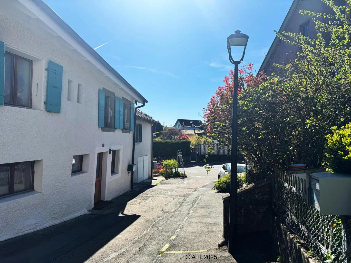 2,5-Zimmer-Wohnung - Foto 4 von 4