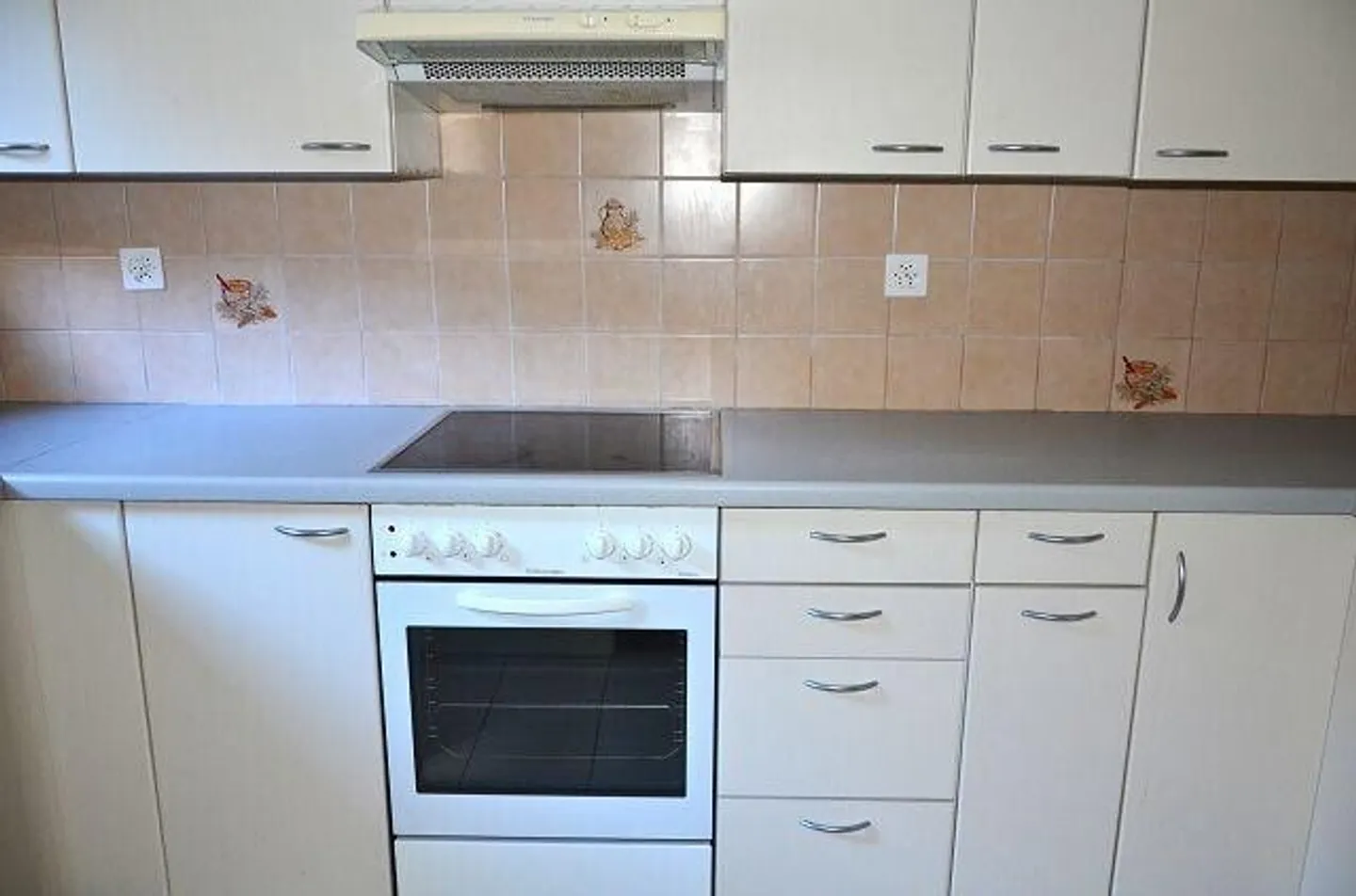 2 apartments of 4.5 rooms with 2 offices, garage/storage, 2 parking spaces and garden - Photo 5 of 13