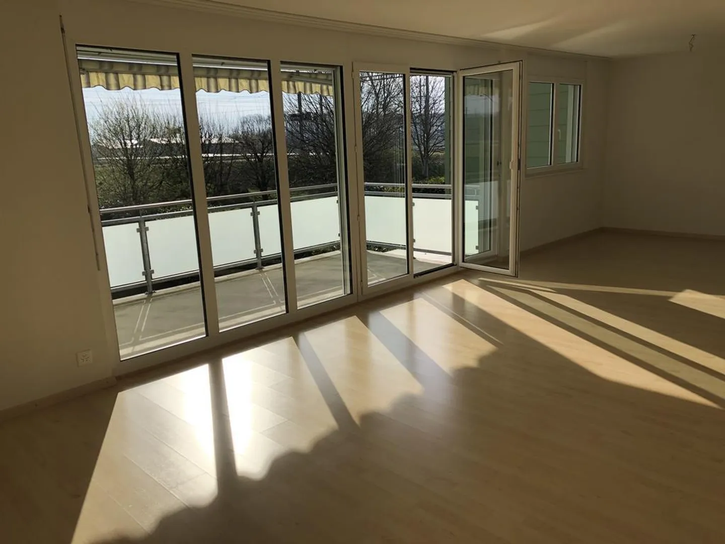 Geräumige Wohnung im Seeland - Foto 2 von 9