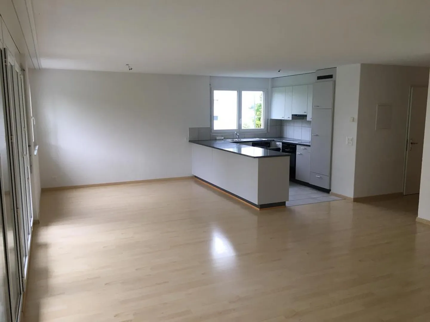 Geräumige Wohnung im Seeland - Foto 3 von 9