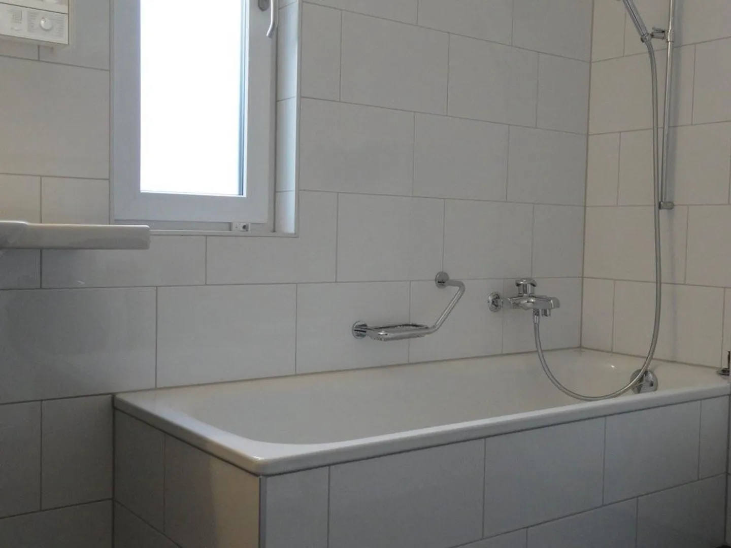 A Jump Away from the Aare Living - Photo 5 of 6