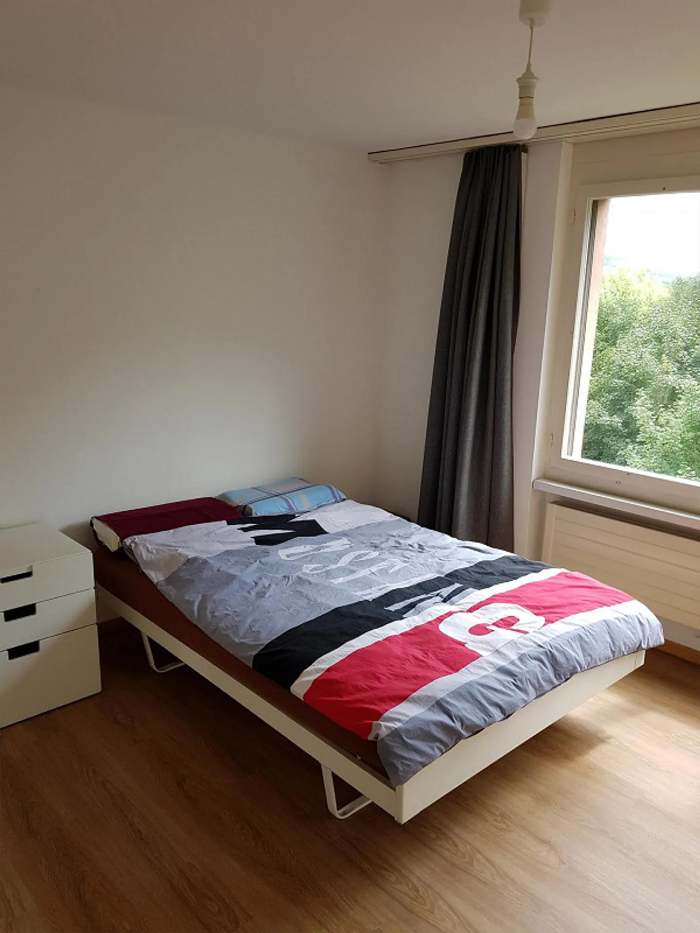 Beautiful and Affordable Apartment in Adliswil (Temporary) - Photo 4 of 8