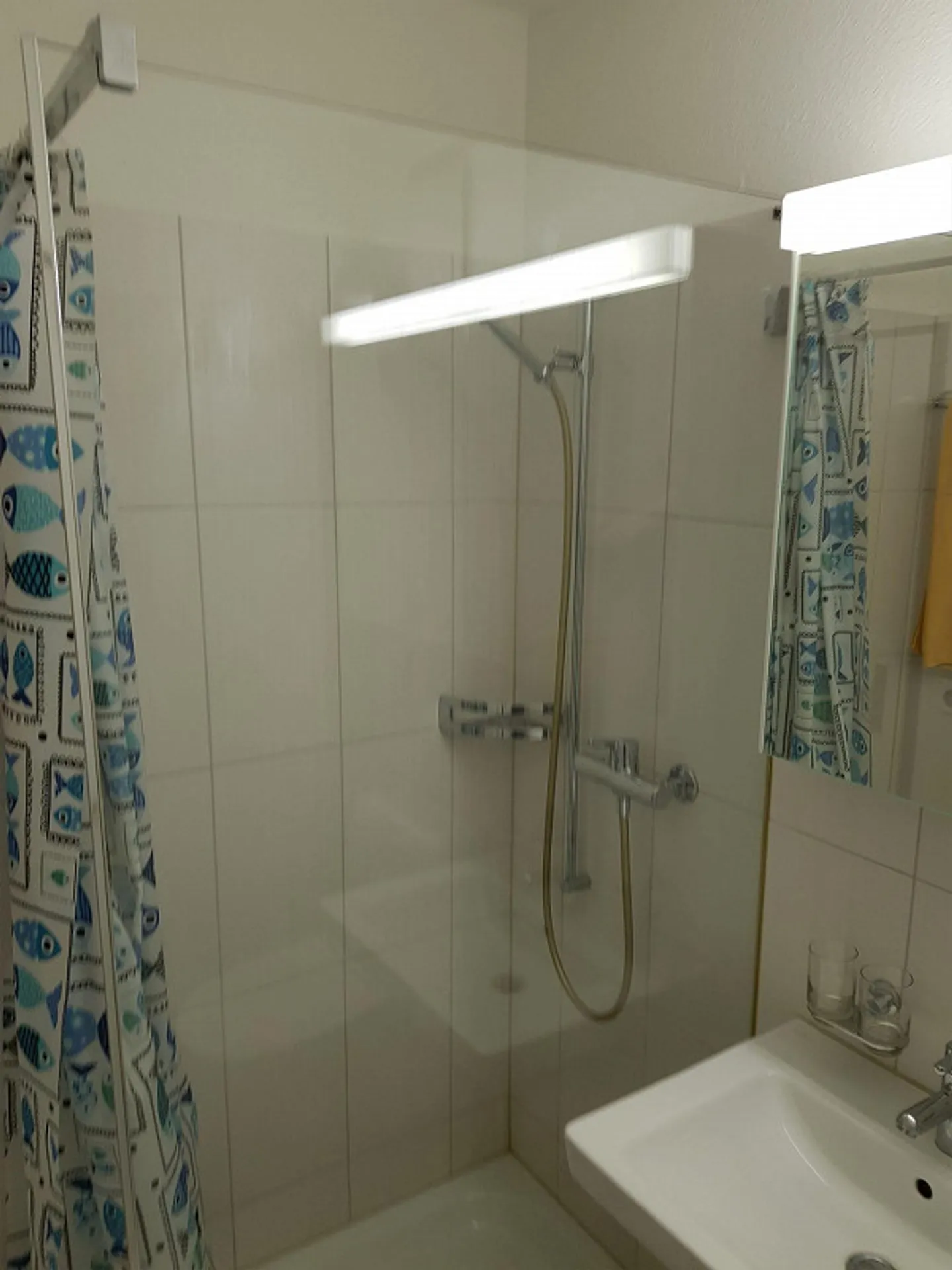 Beautiful and Affordable Apartment in Adliswil (Temporary) - Photo 5 of 8