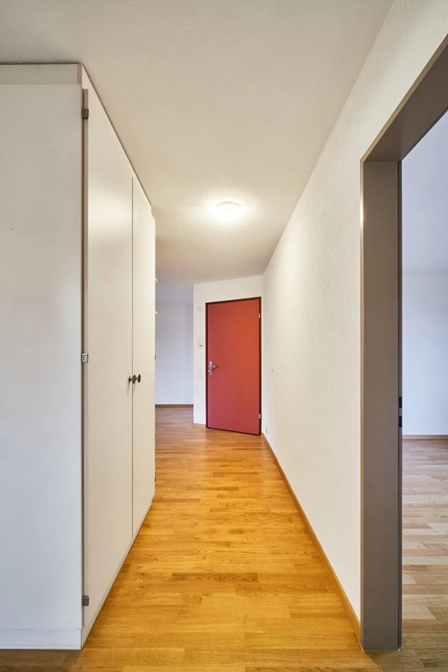 Appartamento soleggiato di 3,5 stanze a Forch - Foto 4 di 7