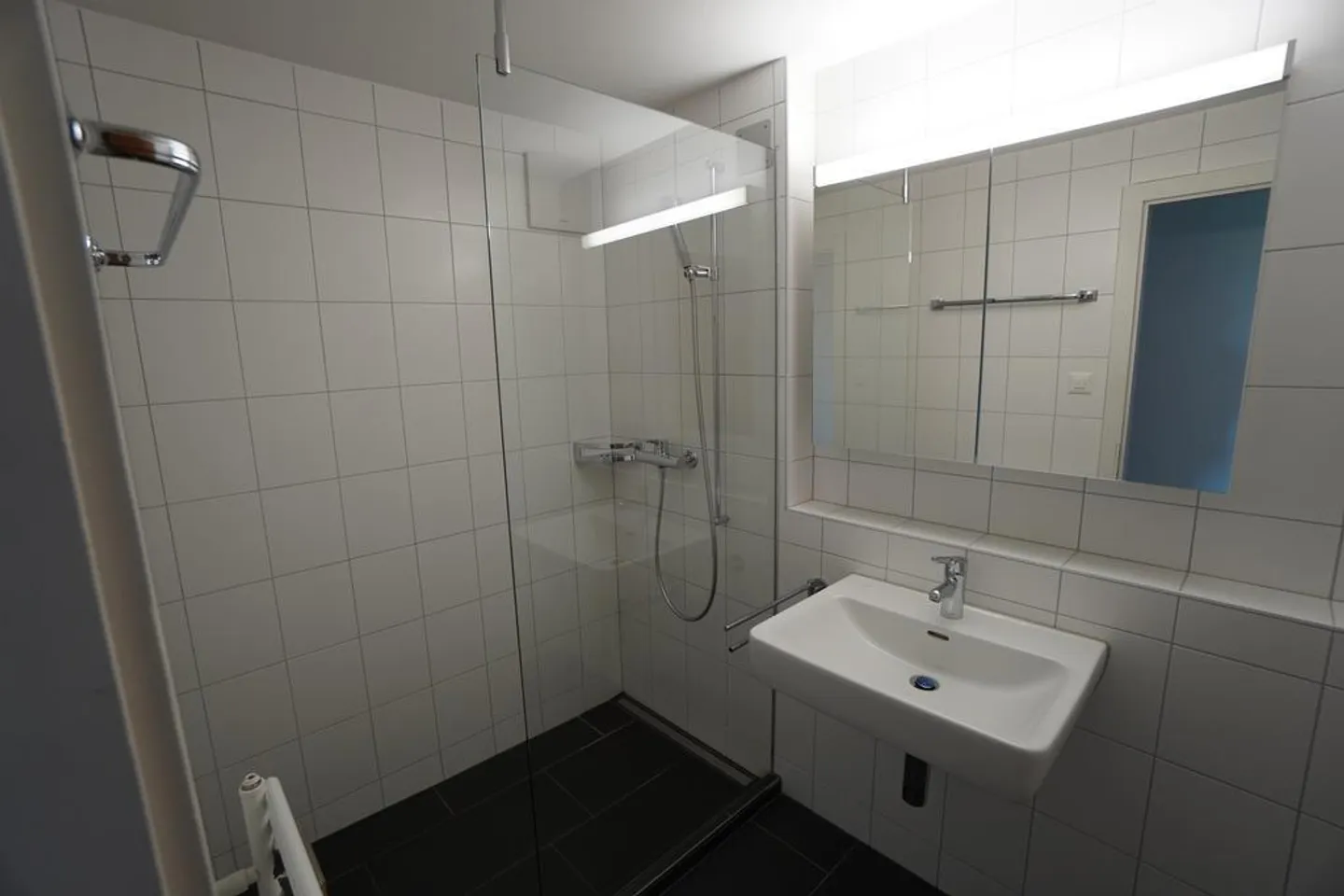 Appartamento 4.5 stanze in posizione tranquilla - dal 1 febbraio 2026 - Foto 9 di 12