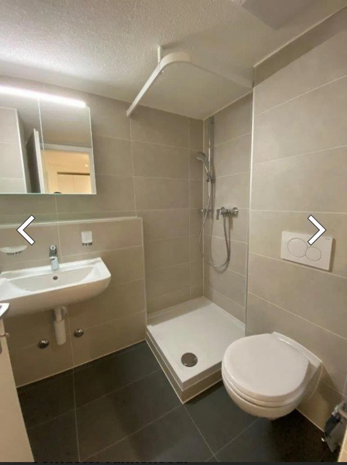 Looking for a new tenant 24 square meter furnished apartment Seewen SZ - Photo 3 of 3