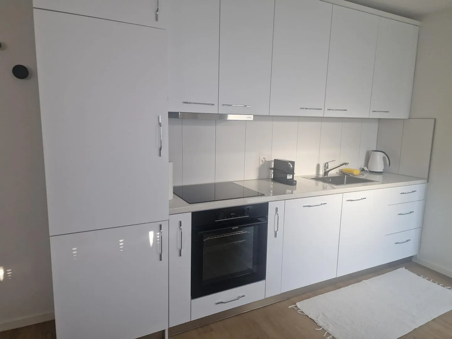 Appartamento arredato 2.5 locali con giardino - appena ristrutturato - Foto 2 di 12