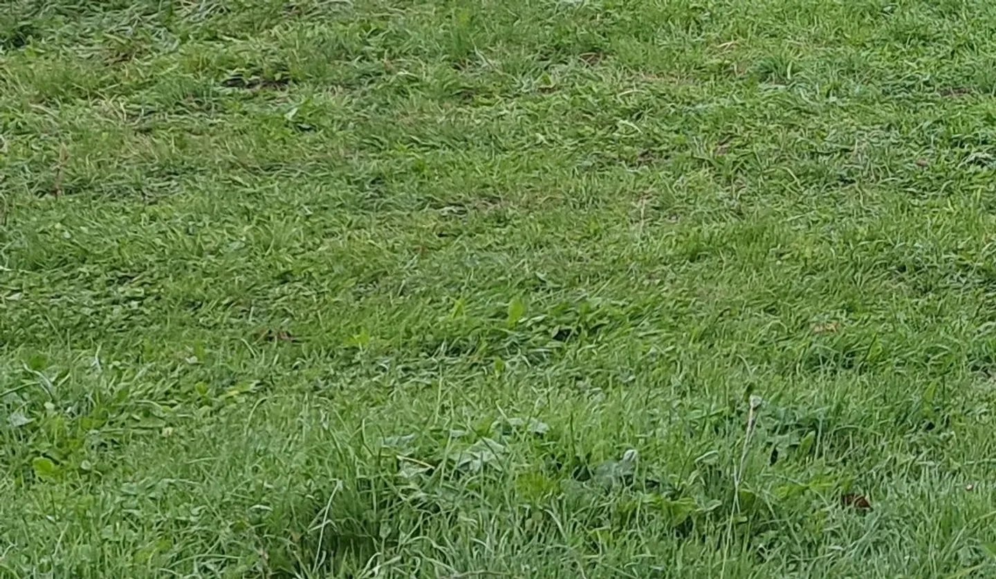 Terreno commerciale - Foto 1 di 1