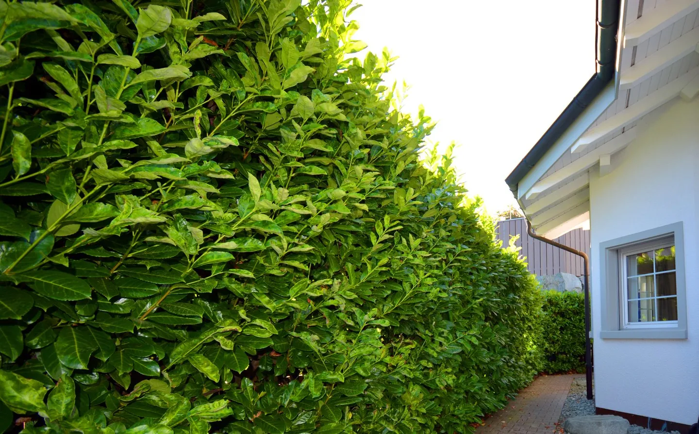 Affascinante casa unifamiliare di 5,5 stanze in una posizione tranquilla di Islisberg - con numerosi extra - Foto 39 di 63