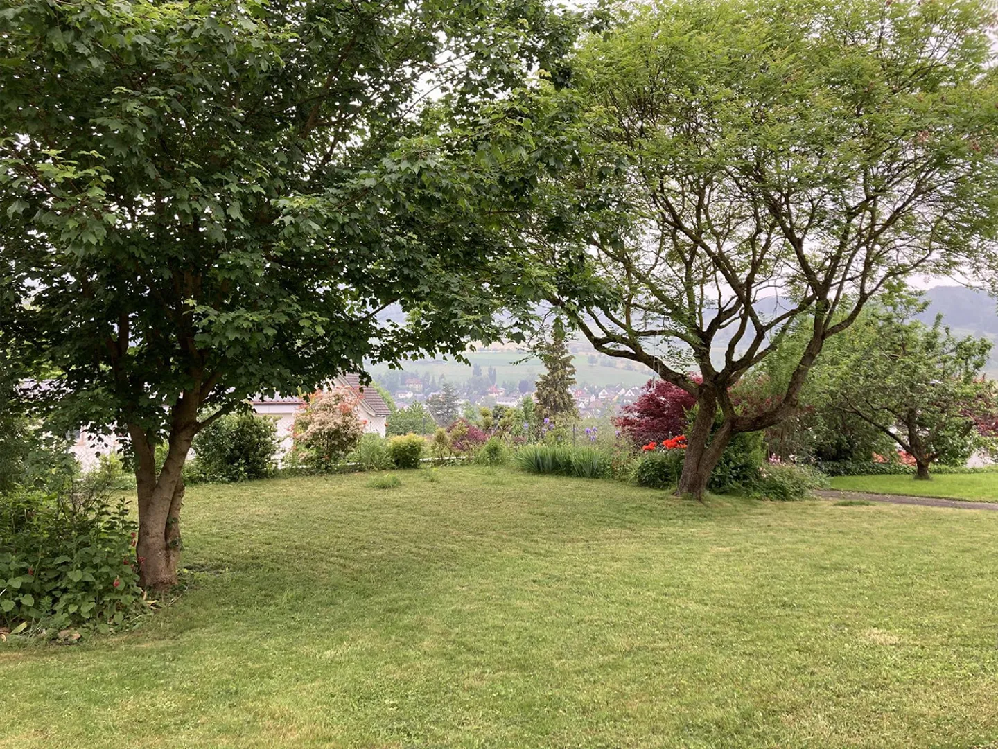 Posizione migliore con vista! Esclusiva casa unifamiliare di 6½ stanze con appartamento indipendente - Foto 1 di 15