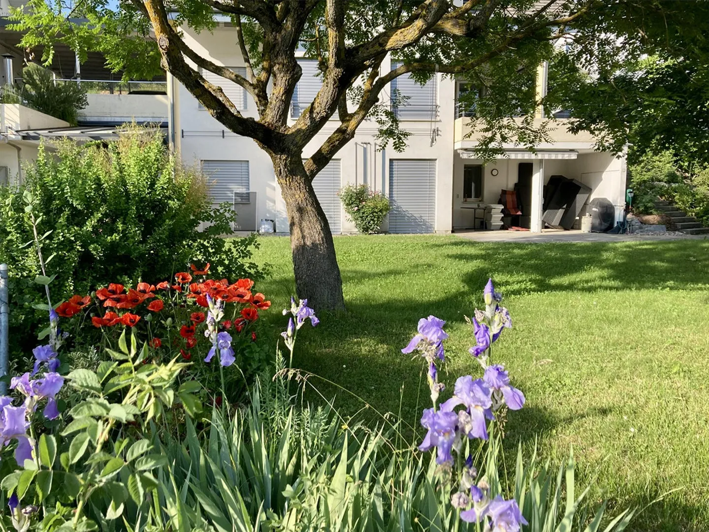 Posizione migliore con vista! Esclusiva casa unifamiliare di 6½ stanze con appartamento indipendente - Foto 2 di 15