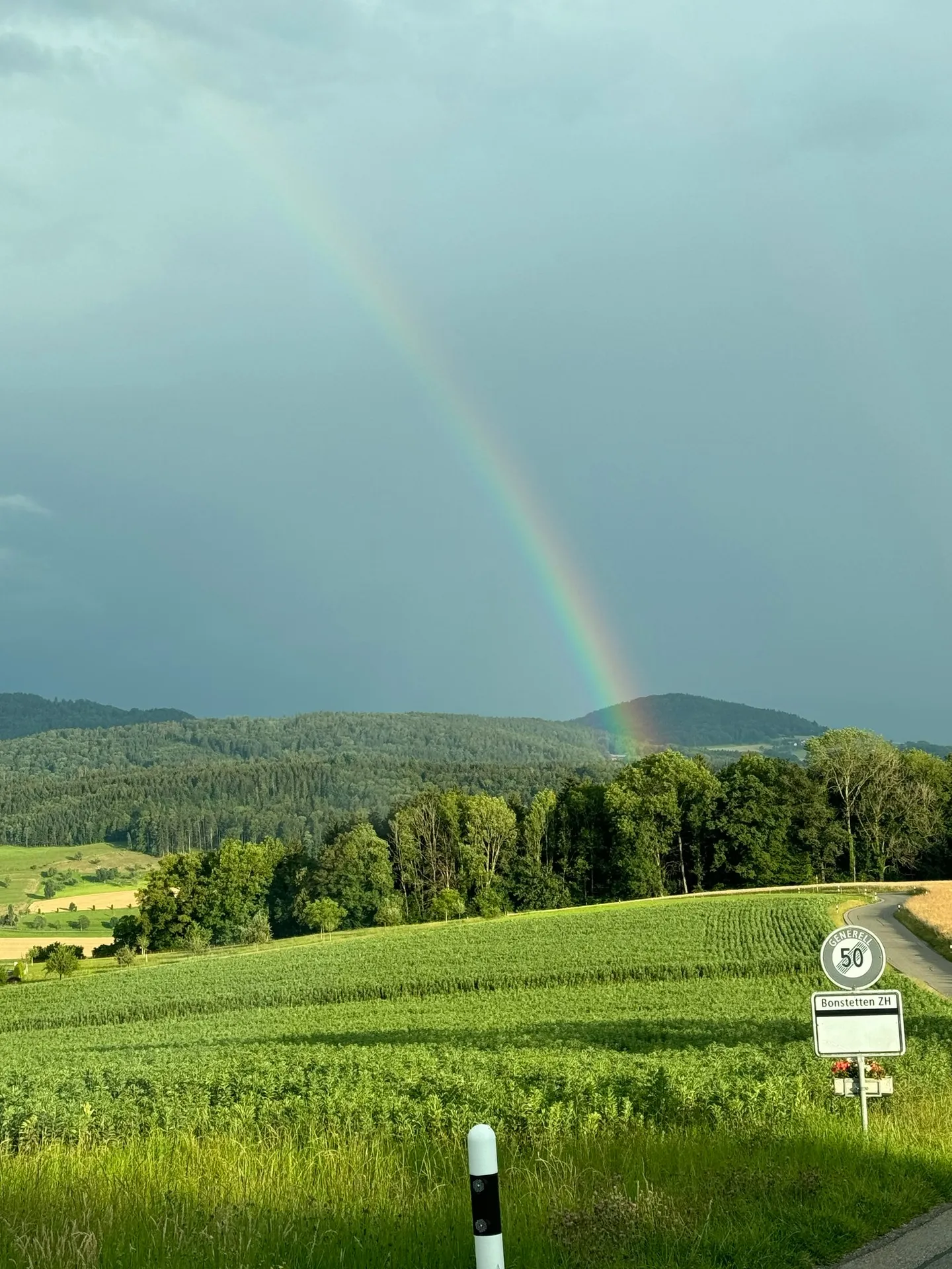 Affascinante casa unifamiliare di 5,5 stanze in una posizione tranquilla di Islisberg - con numerosi extra - Foto 58 di 63