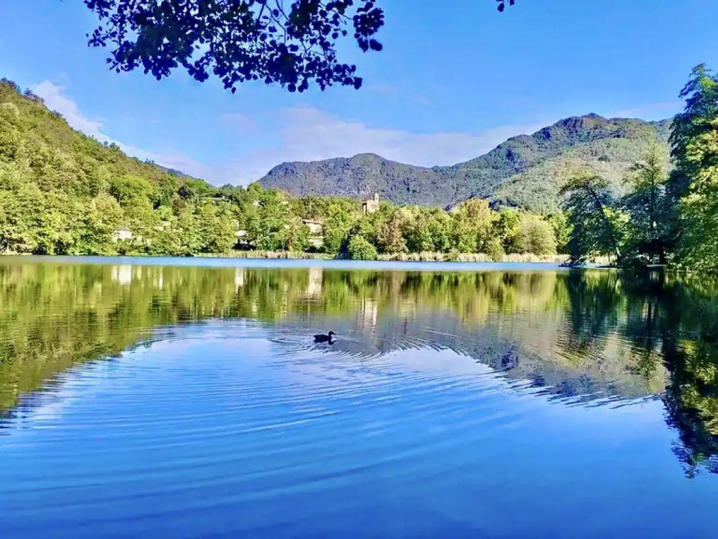 Luxusvilla zur Miete - vertrauliche Verhandlung - Foto 1 von 1