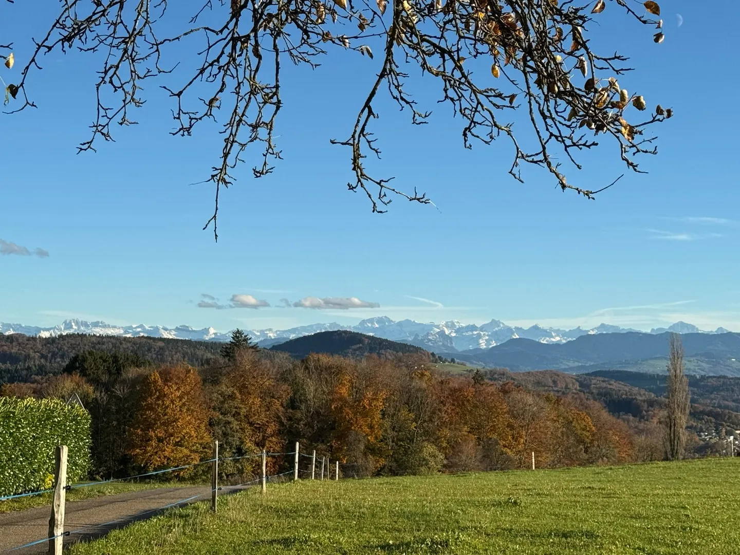 Affascinante casa unifamiliare di 5,5 stanze in una posizione tranquilla di Islisberg - con numerosi extra - Foto 59 di 63