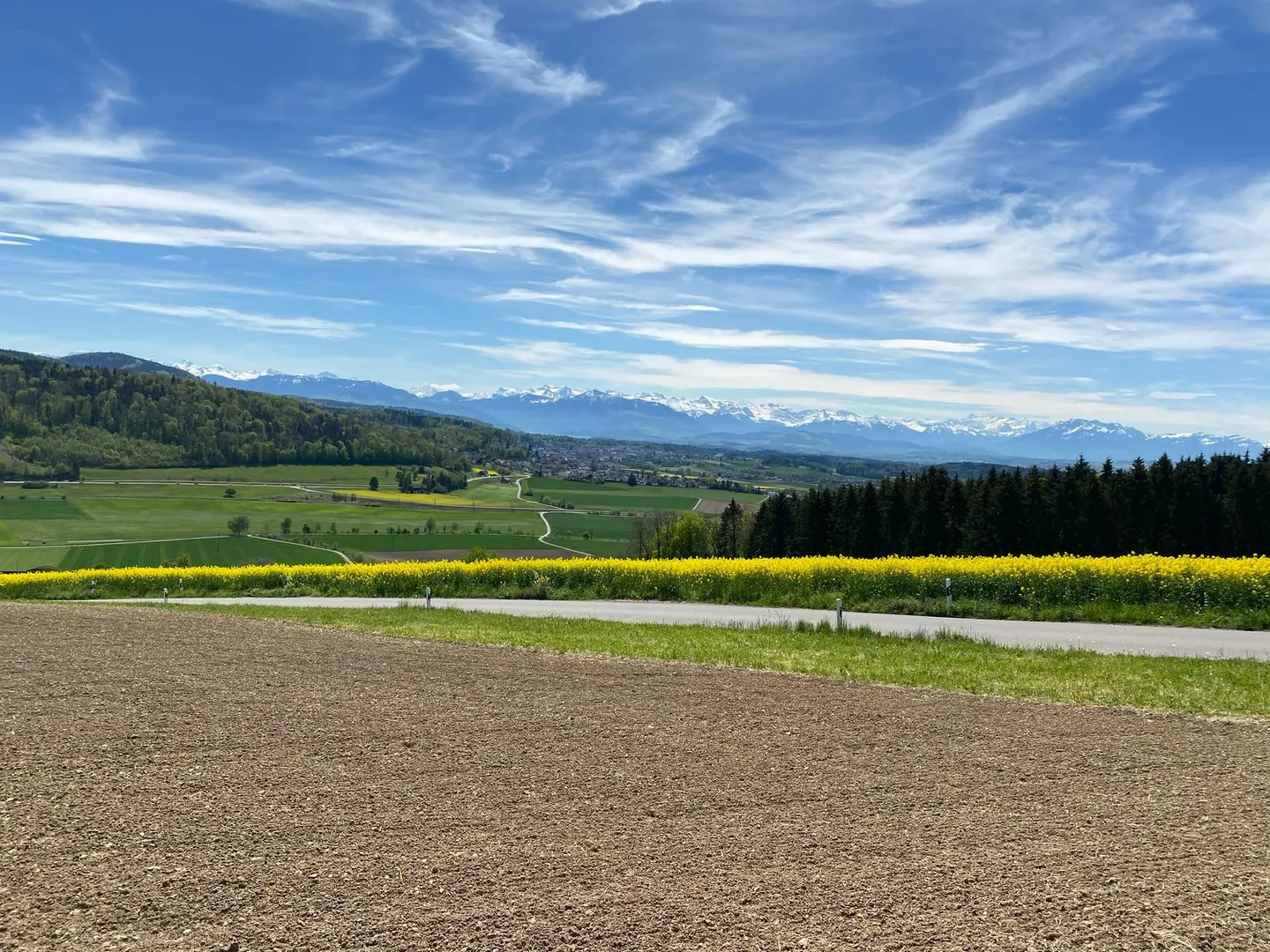 Affascinante casa unifamiliare di 5,5 stanze in una posizione tranquilla di Islisberg - con numerosi extra - Foto 63 di 63