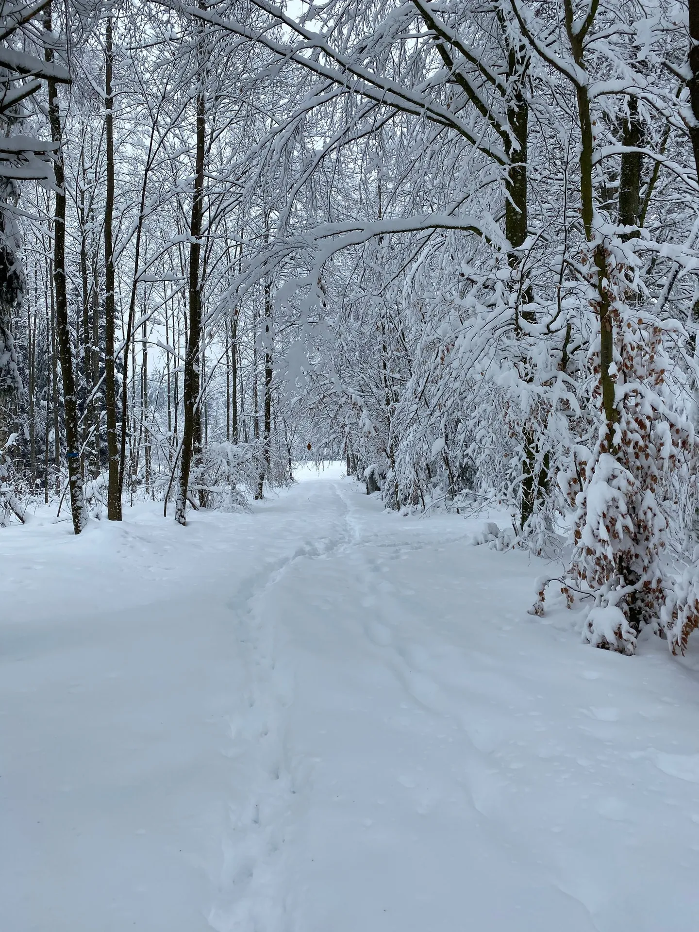 Affascinante casa unifamiliare di 5,5 stanze in una posizione tranquilla di Islisberg - con numerosi extra - Foto 62 di 63