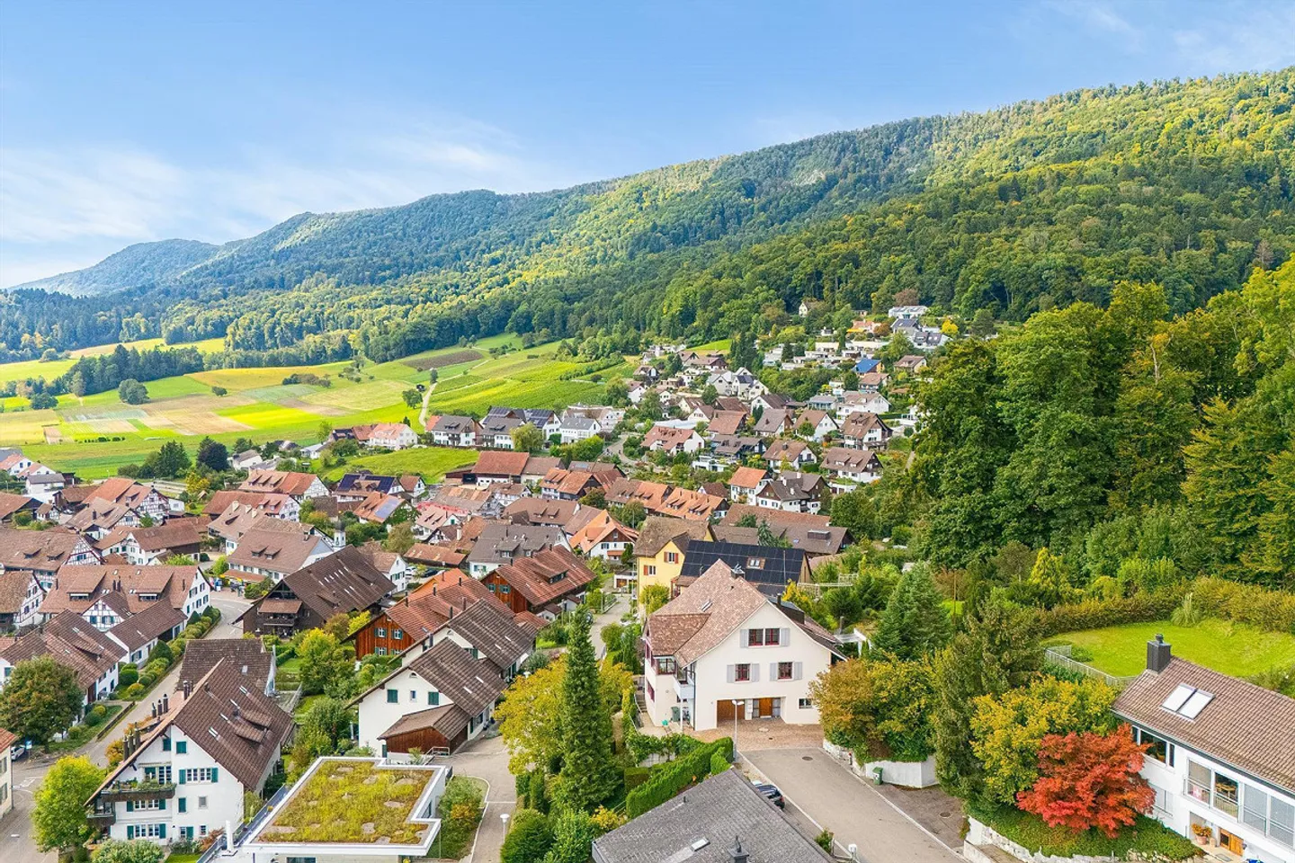 Nature, Bord de Forêt, Central: Villa Majestueuse avec Appartement - Photo 4 sur 29