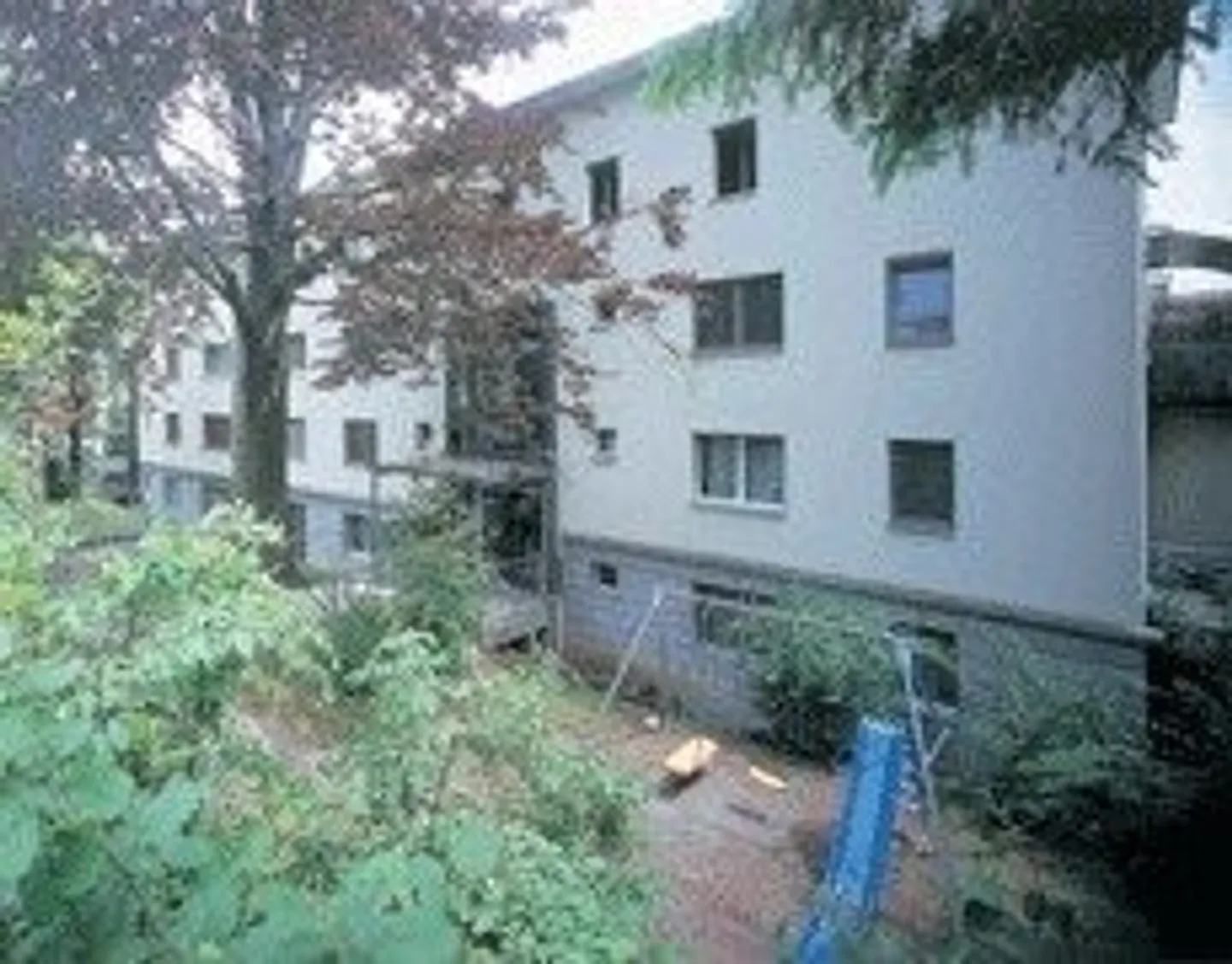 Apartment seeks single - Photo 1 of 7