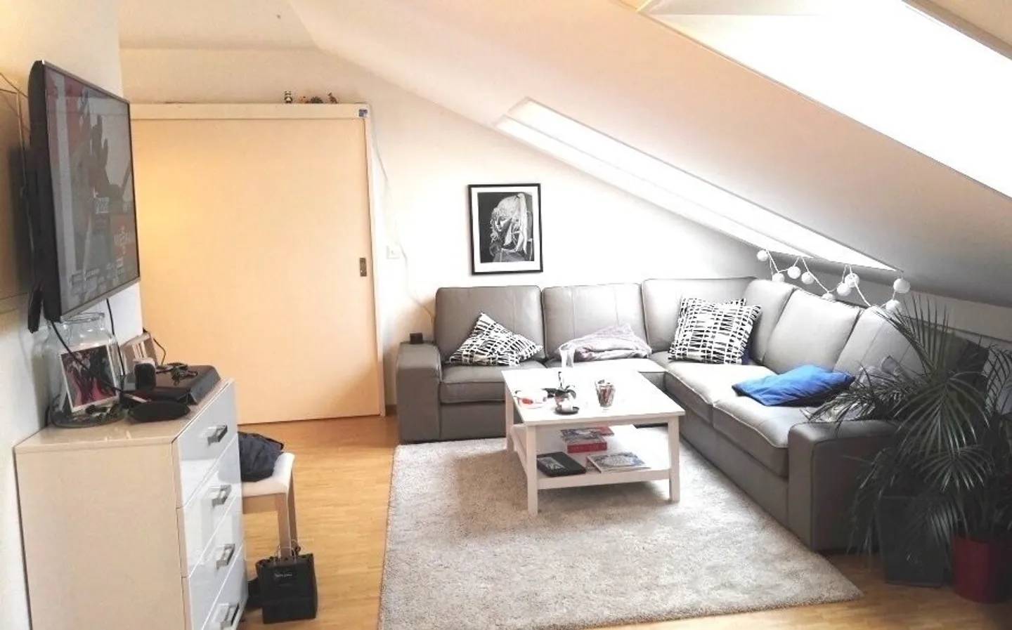 Apartment seeks single - Photo 2 of 7