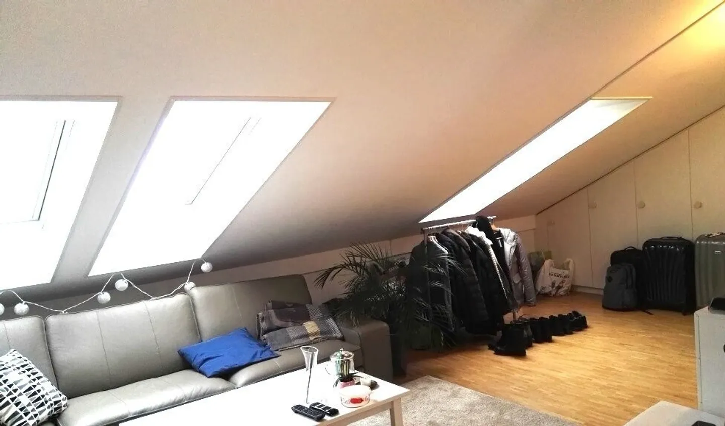 Apartment seeks single - Photo 3 of 7