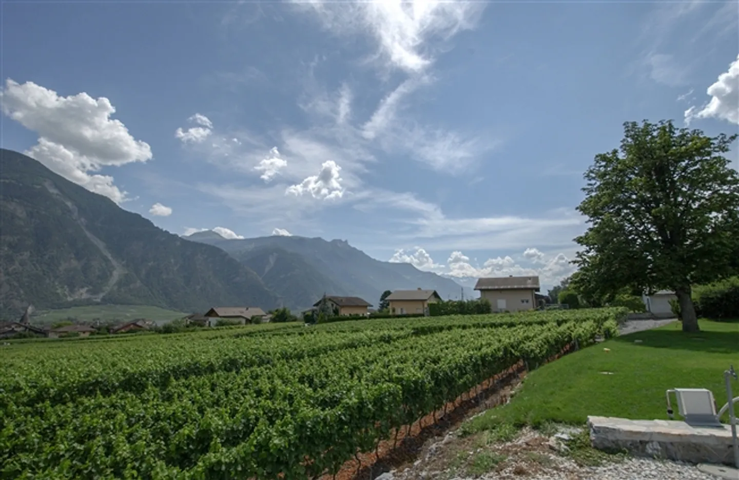 Land with villa projects for construction - Photo 6 of 7