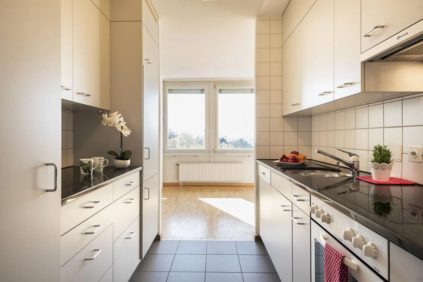 Appartamento moderno a Solothurn - Foto 1 di 9