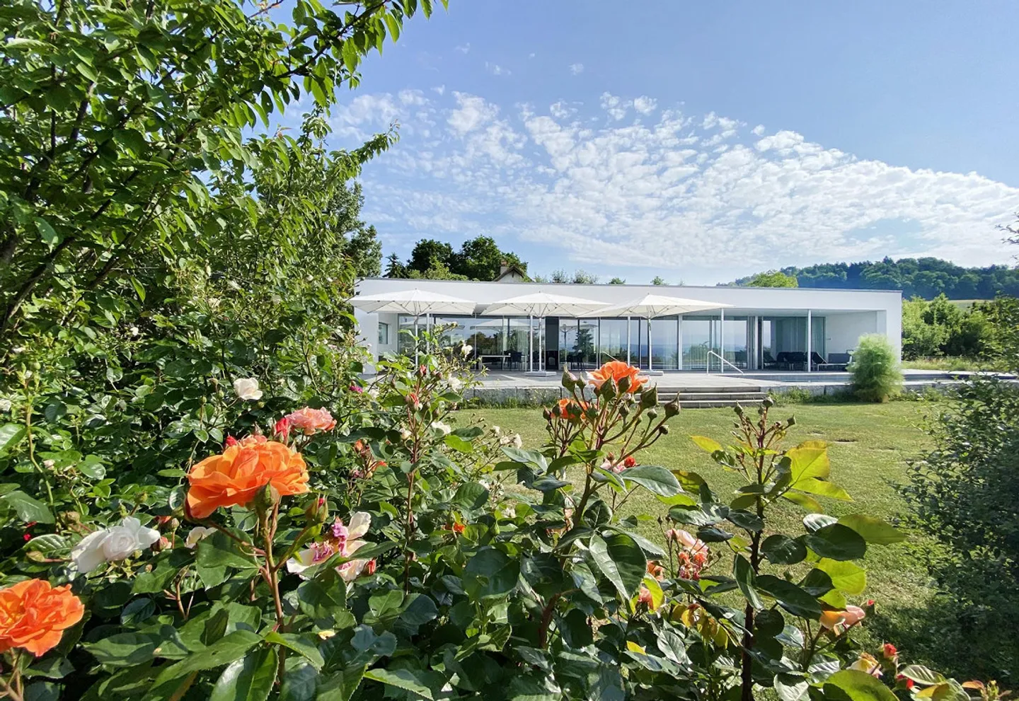 Villa moderna con vista da sogno - Foto 3 di 17