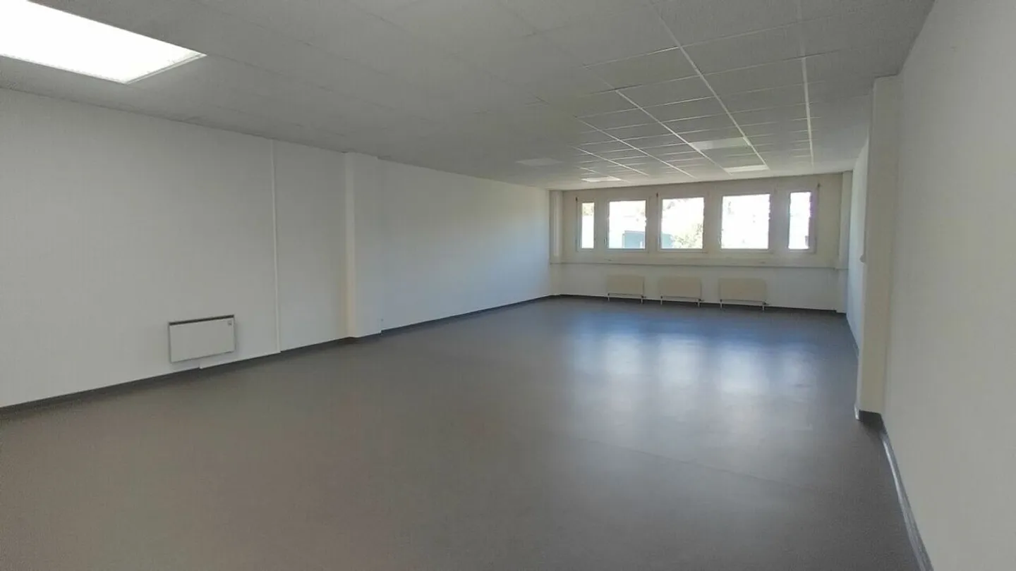 Your premises of 194 and 352 m2, freight elevator and loading dock, for rent in Lonay - Photo 5 of 9
