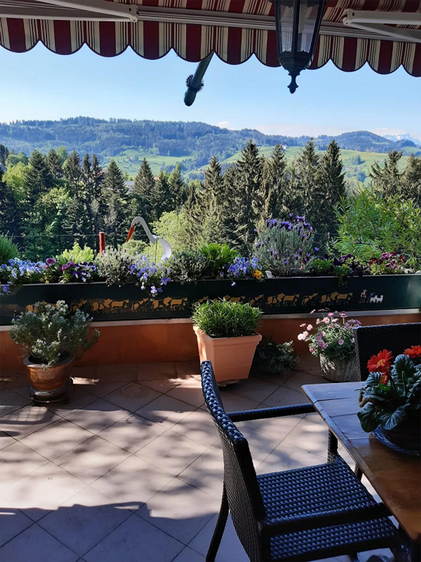Geräumige Wohnung mit Alpsteinblick - Foto 1 von 16