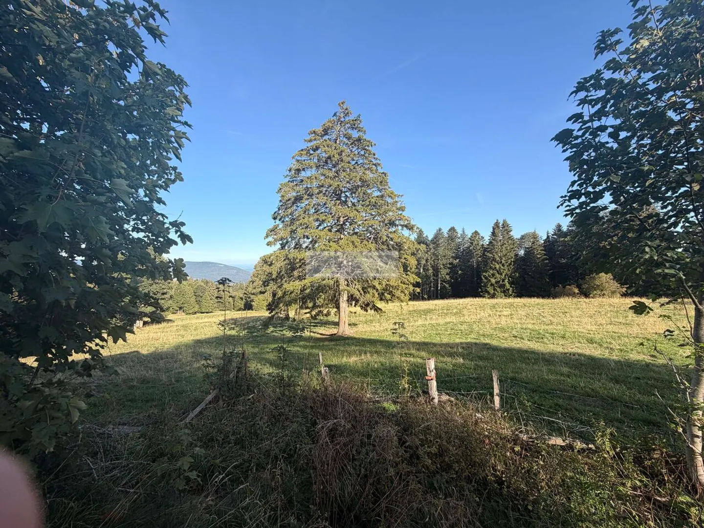 Zu renovieren - Lodge mit 750 m2 Freifläche - Foto 6 von 11