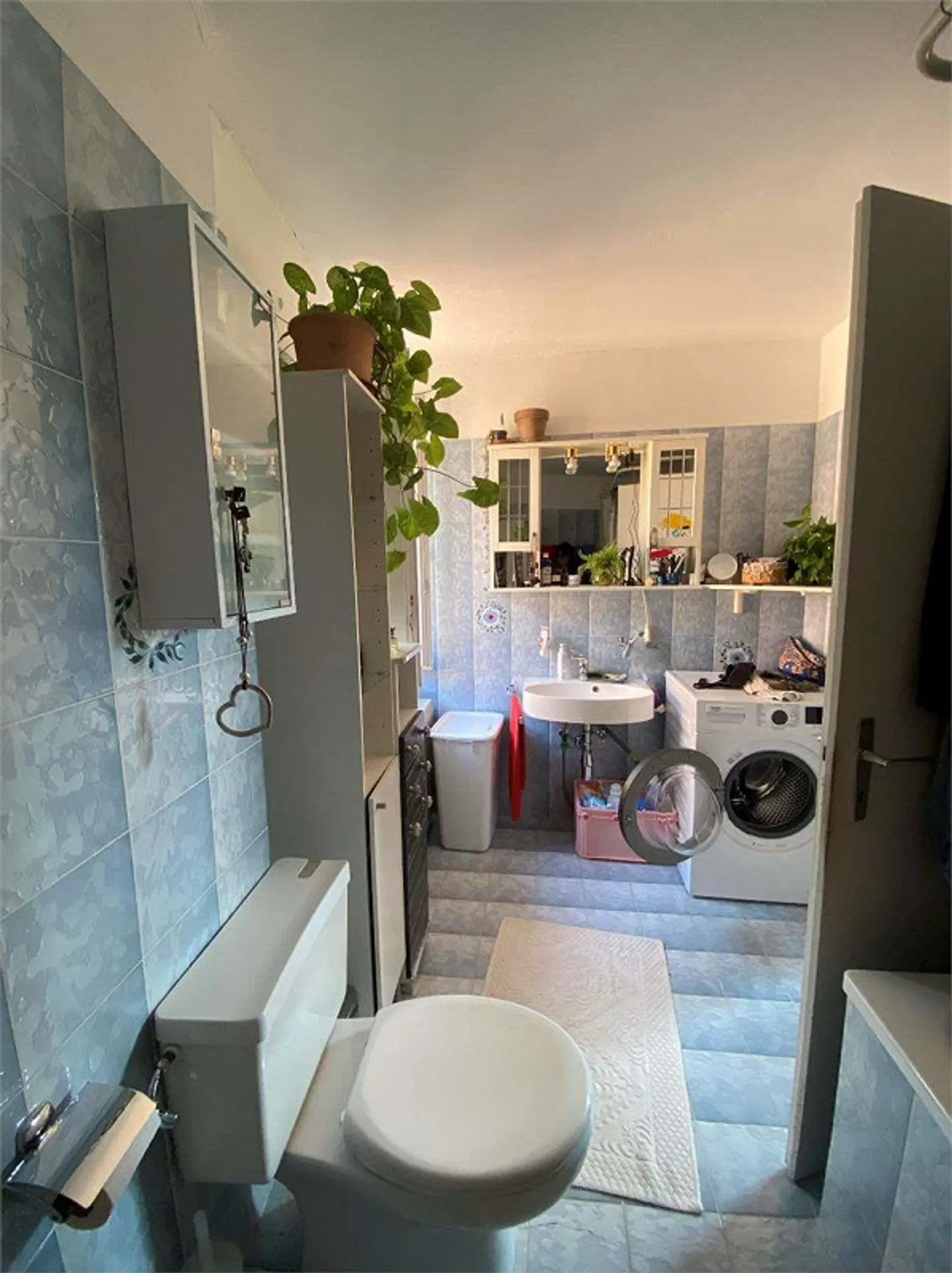 Stabile Residenziale e Commerciale a Cureglia - Foto 12 di 13