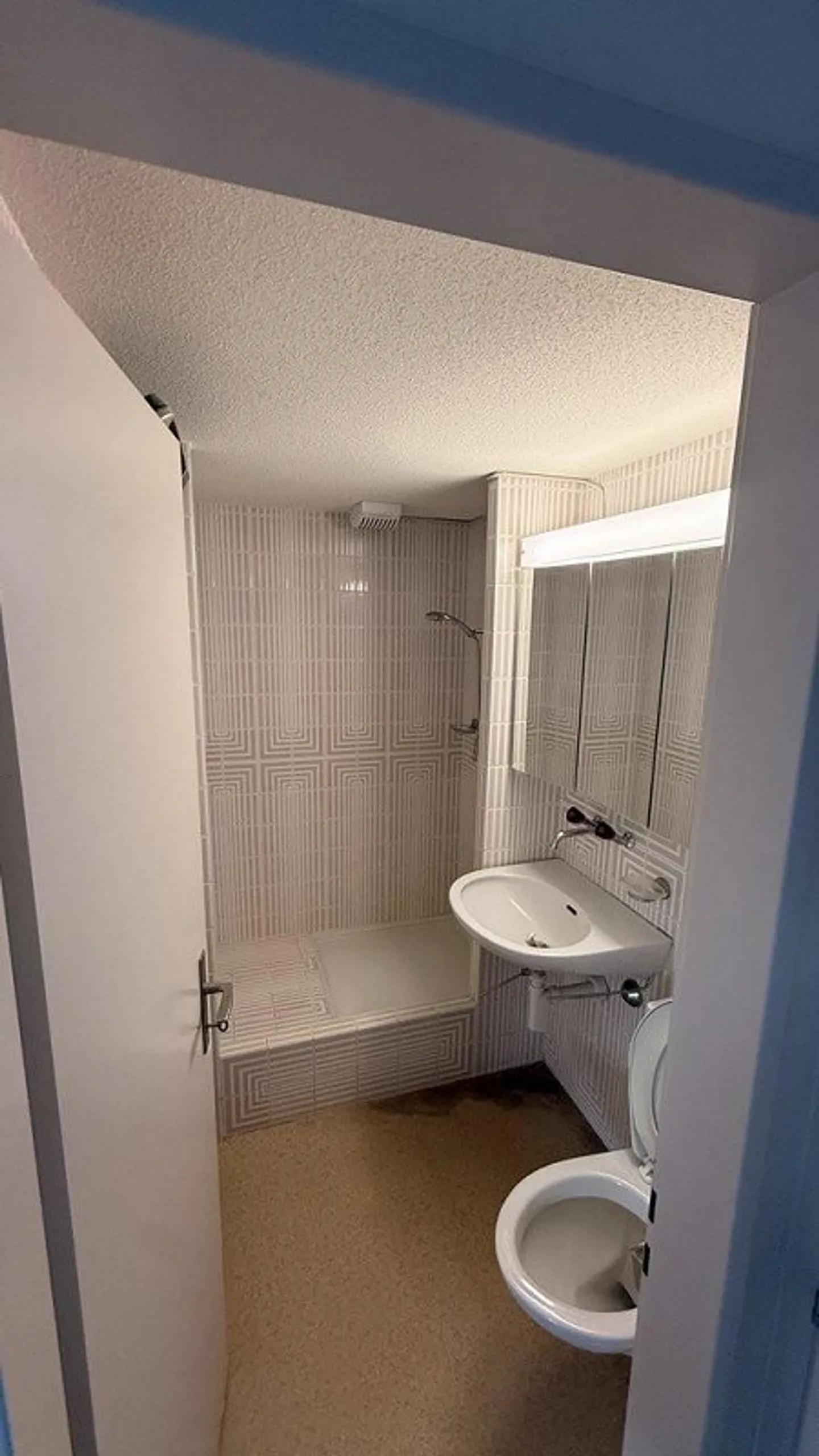 Small but fine - Photo 3 of 5