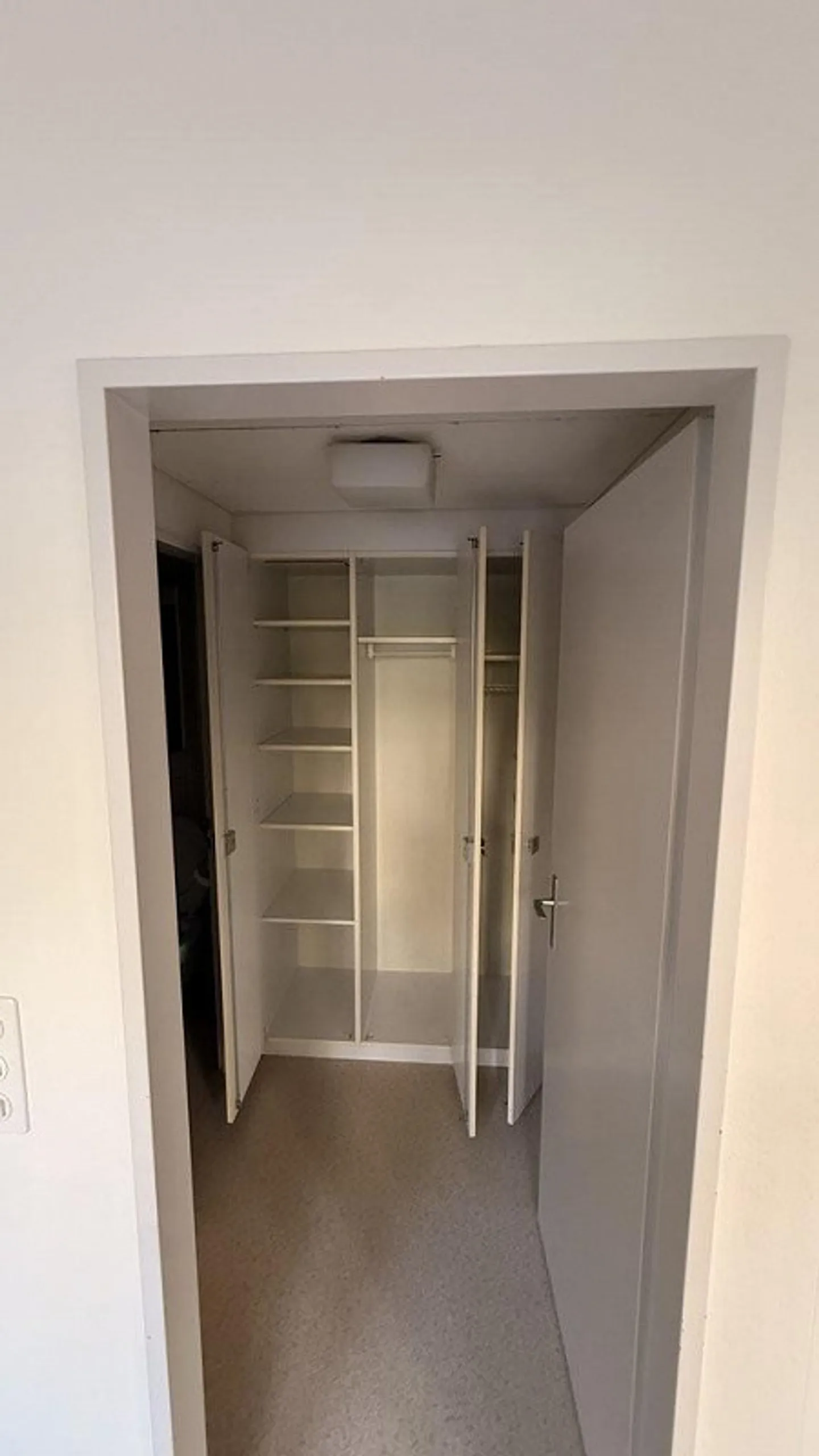 Small but fine - Photo 5 of 5