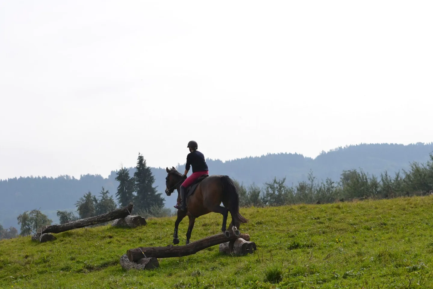 Reitsportimmobilie an idyllischer Lage (TG) - Foto 14 von 14