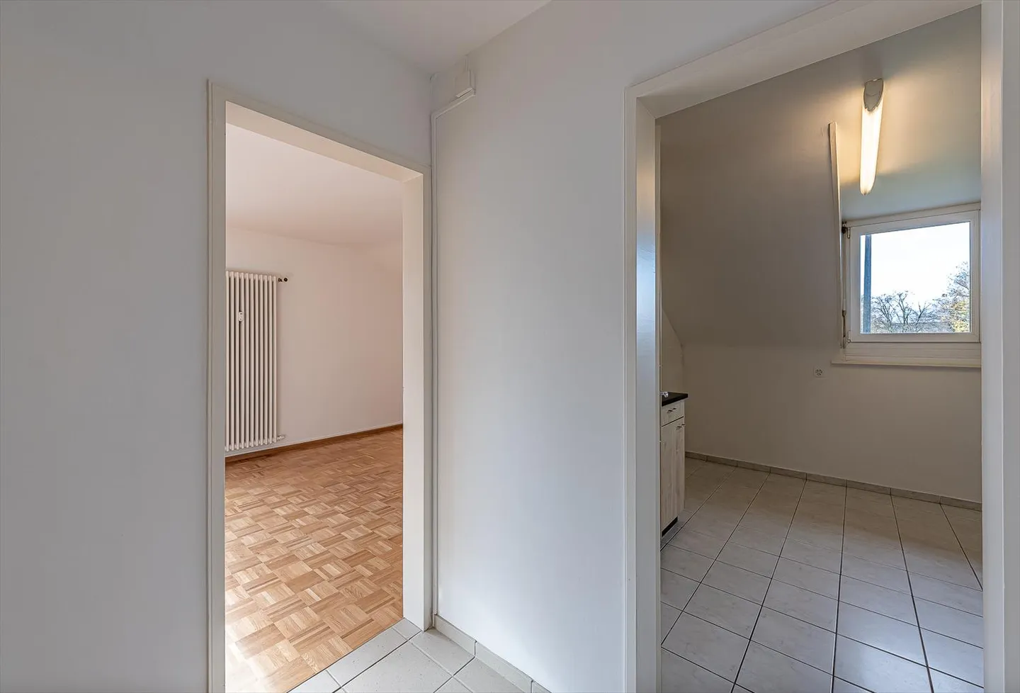 Attenzione single - Foto 6 di 7