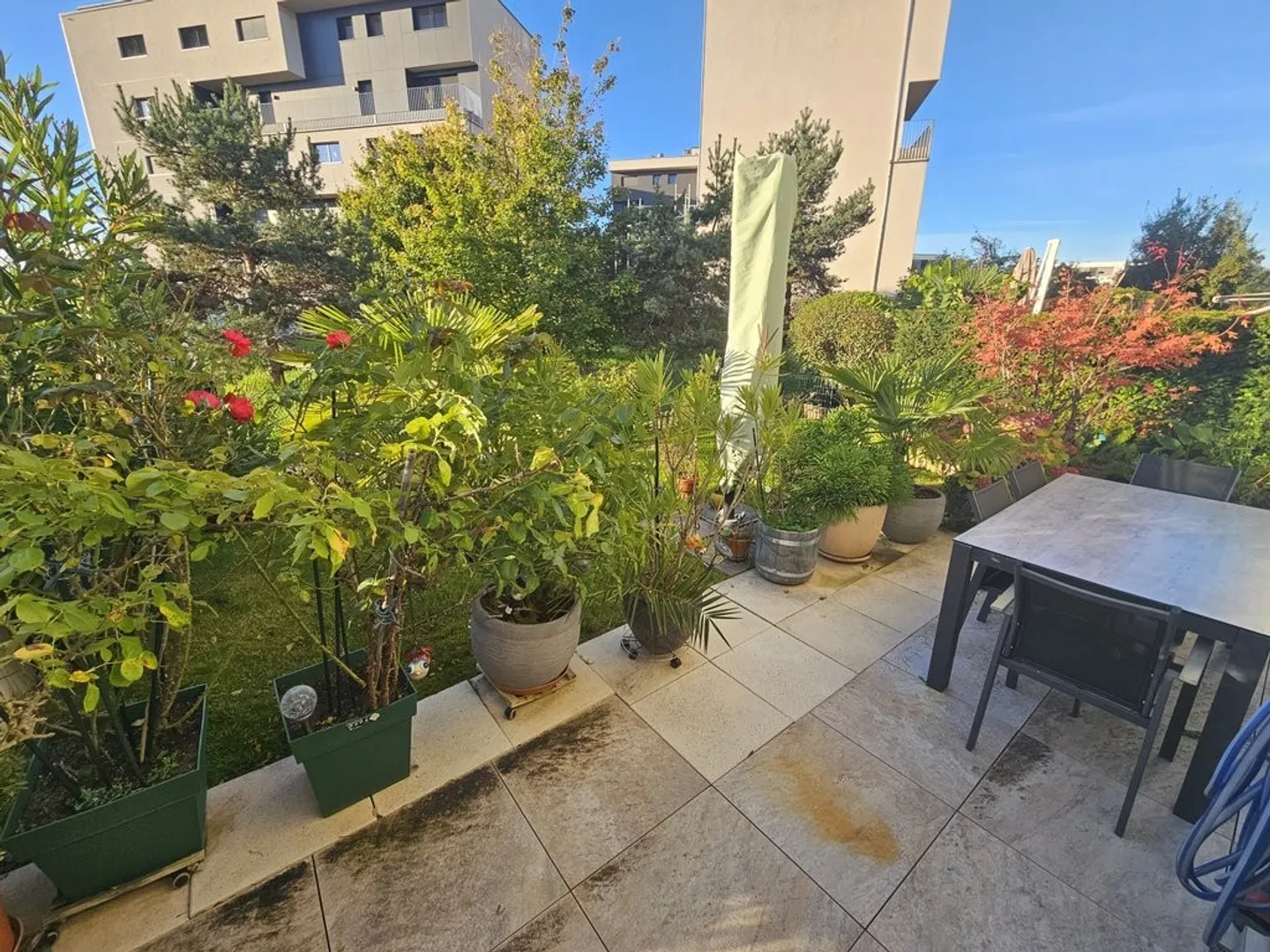 Schöne 2,5-Zimmer-Wohnung - Foto 4 von 4