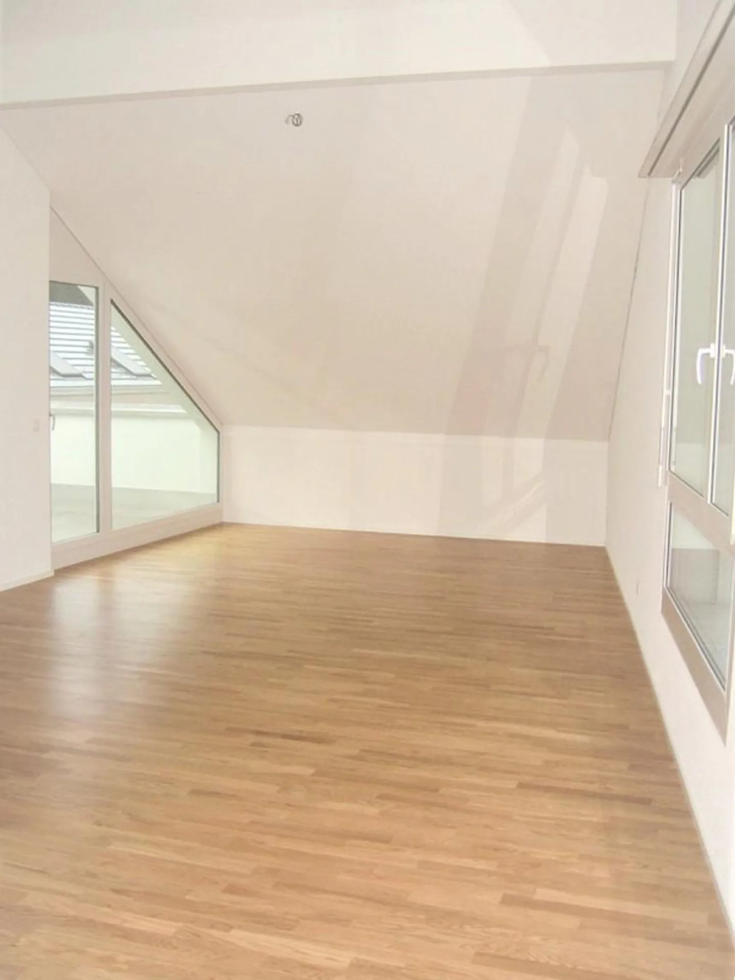 Living at the Foot of Uetliberg - Photo 3 of 8