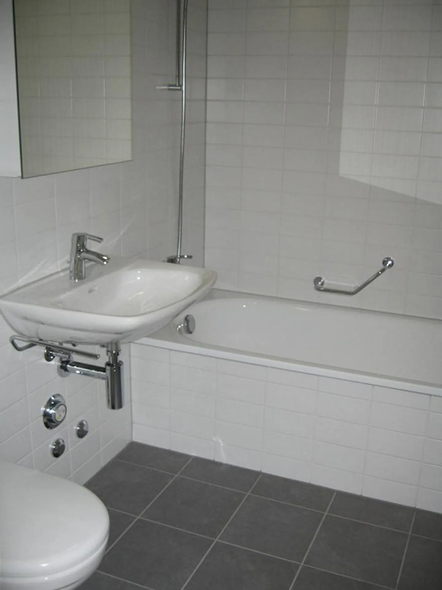 Living at the Foot of Uetliberg - Photo 5 of 8