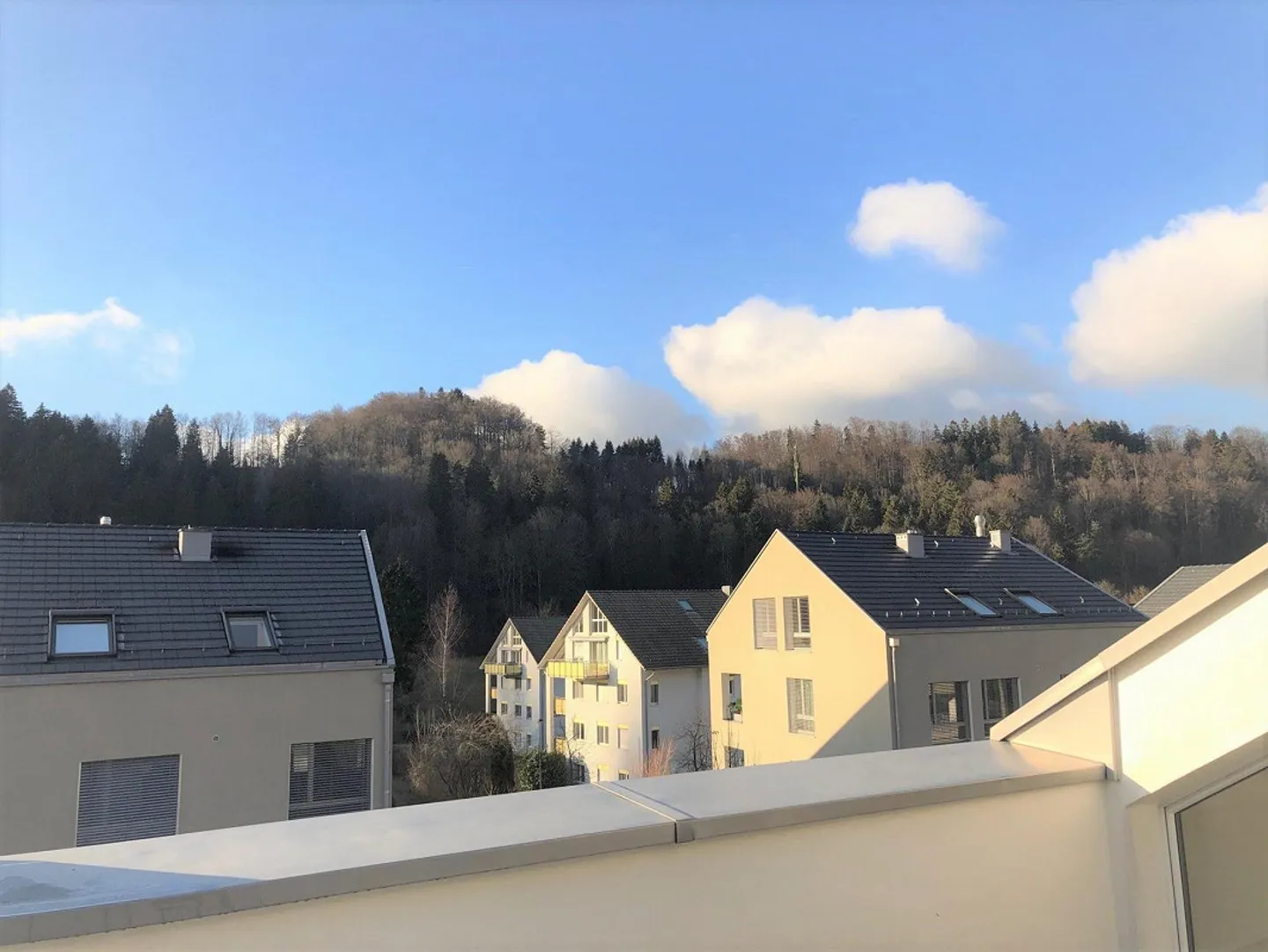 Living at the Foot of Uetliberg - Photo 6 of 8