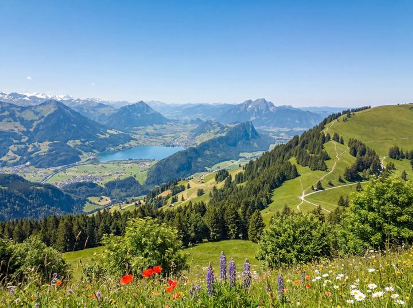 RIGI - REINE DES MONTAGNES : TERRAIN HÔTELIER EXCLUSIF DE 7 000 M² - Photo 7 sur 8