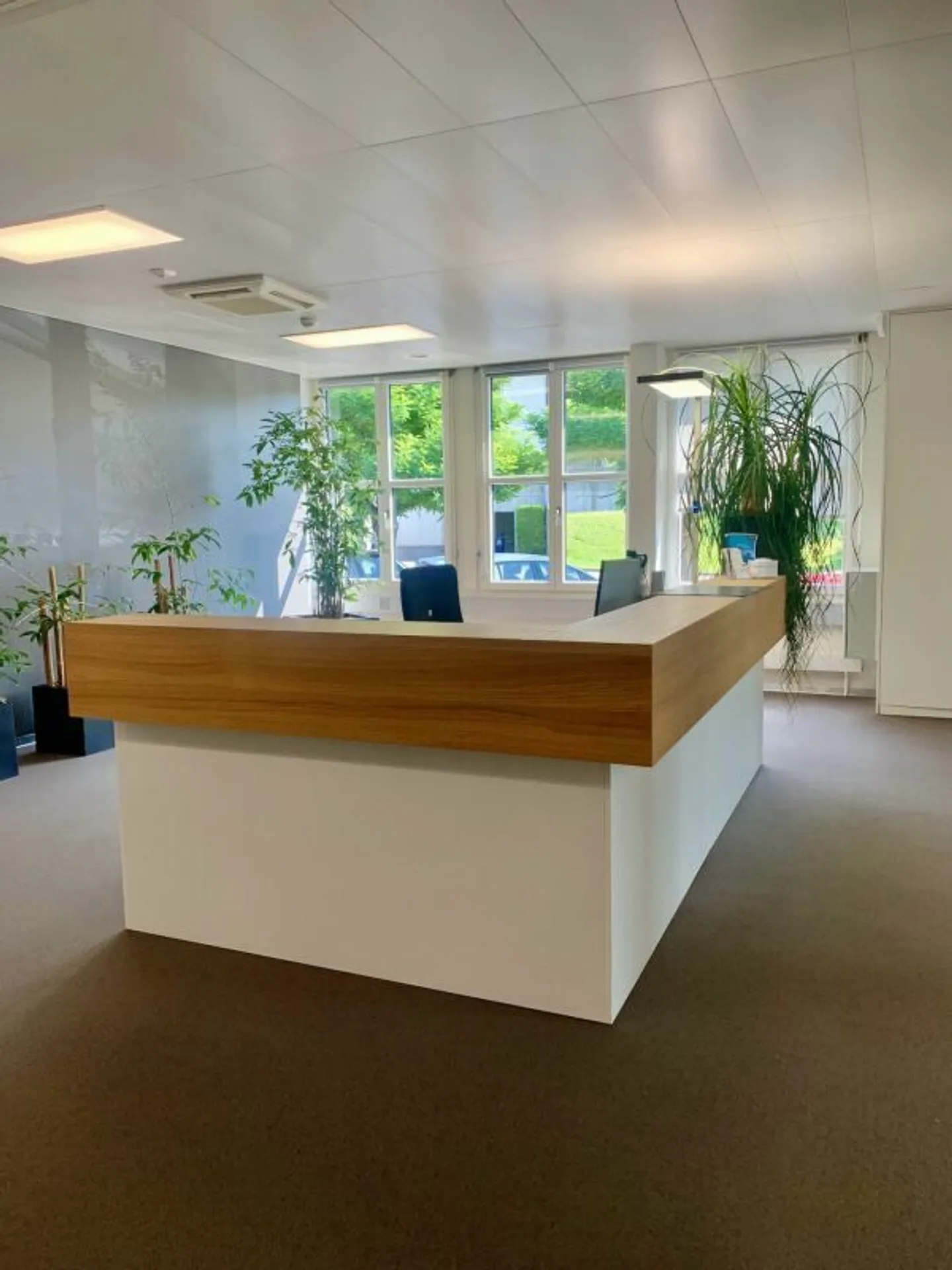 Superb high-end offices for rent in Crissier near the highway - Photo 5 of 9