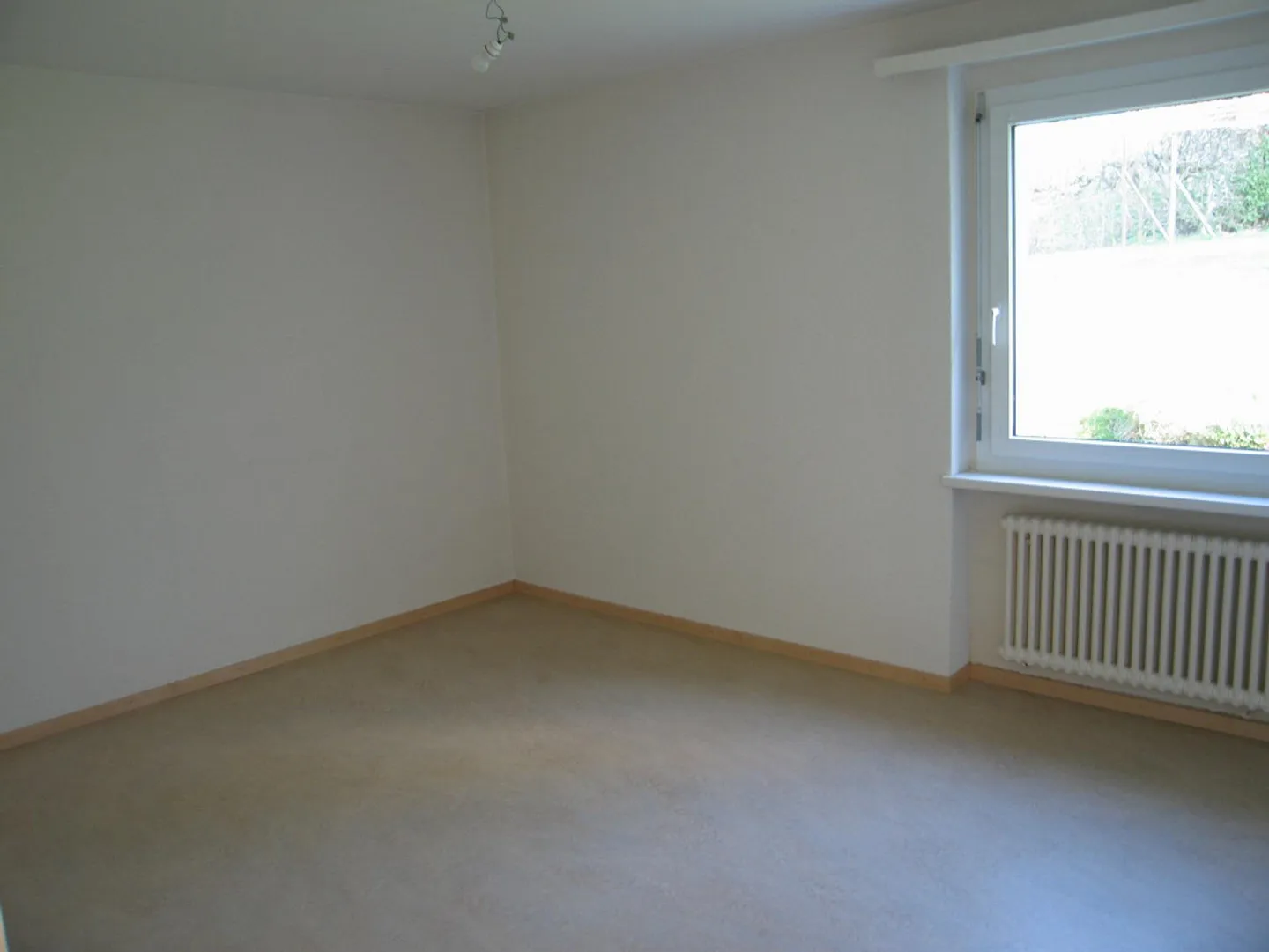 Spazio per la Vita, la Pace e Nuove Idee - Foto 5 di 10