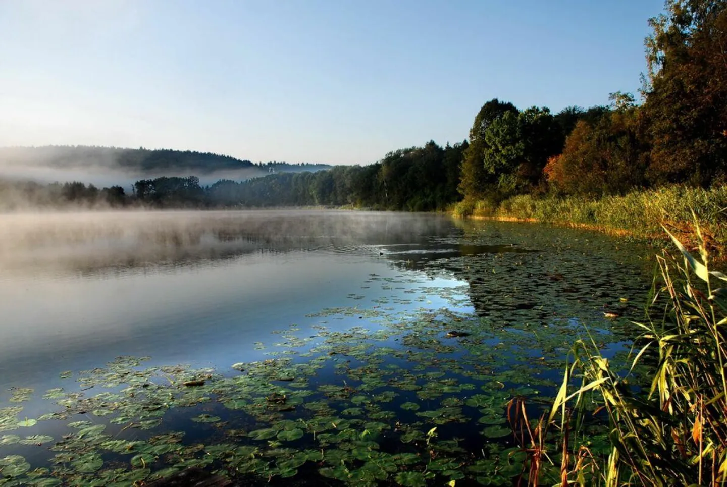 Sonnige 4,5-Zimmer-Wohnung in Aeschi - Foto 8 von 8